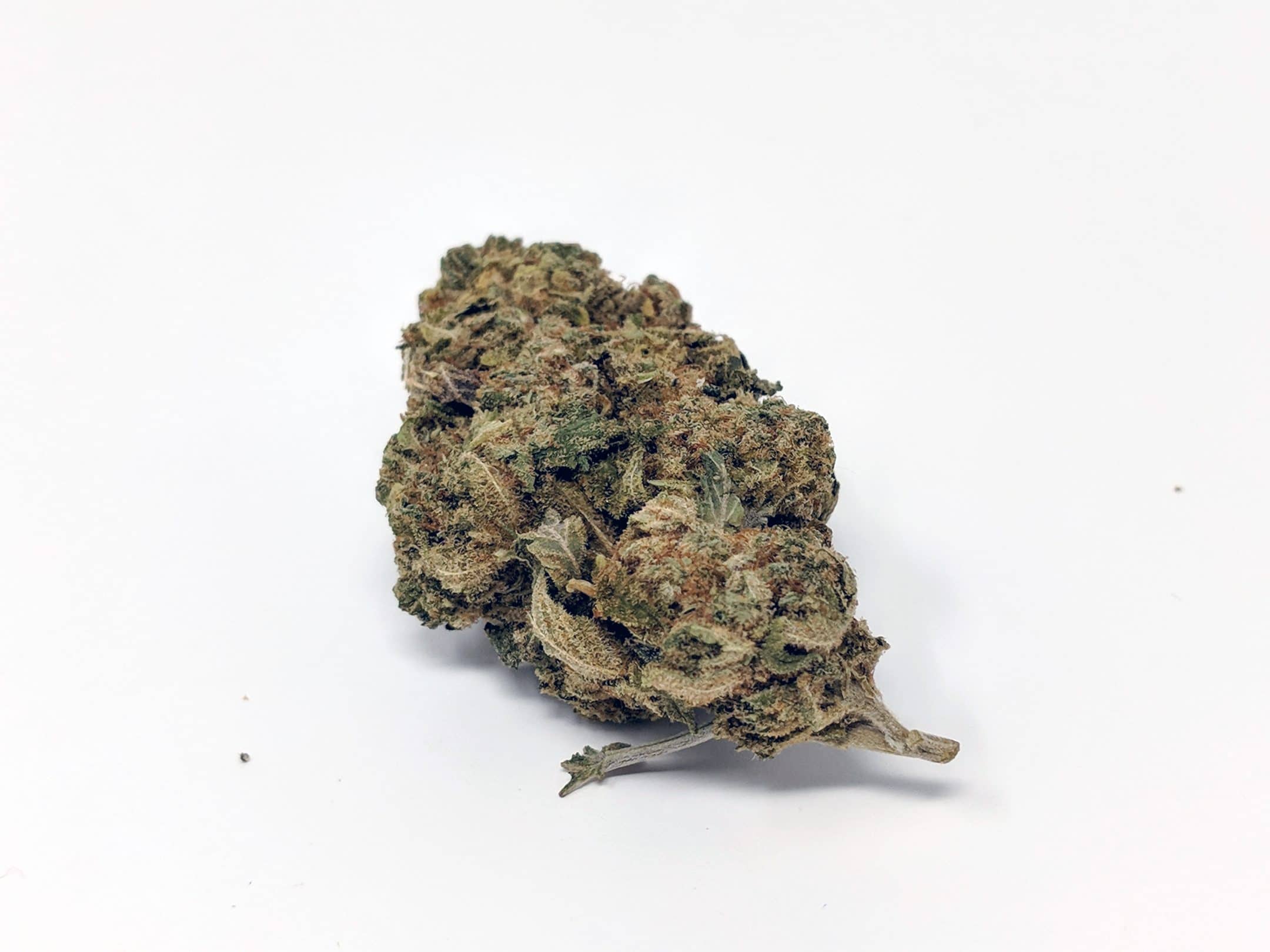 Archive image 3 for CBD Lemoncello Cannabis Strain Information & Review