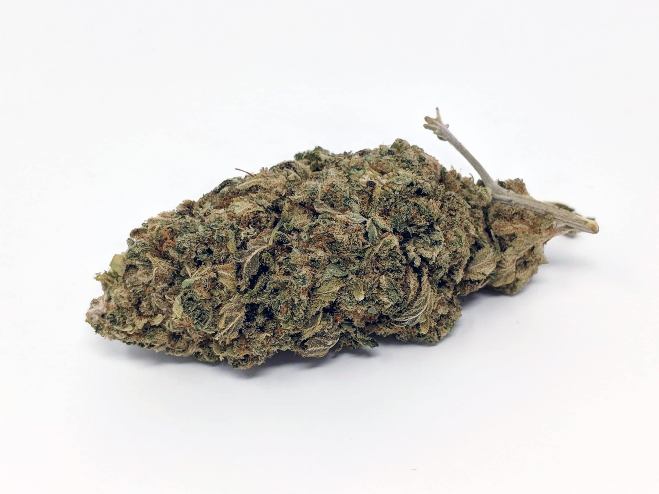 Archive image 5 for CBD Lemoncello Cannabis Strain Information & Review