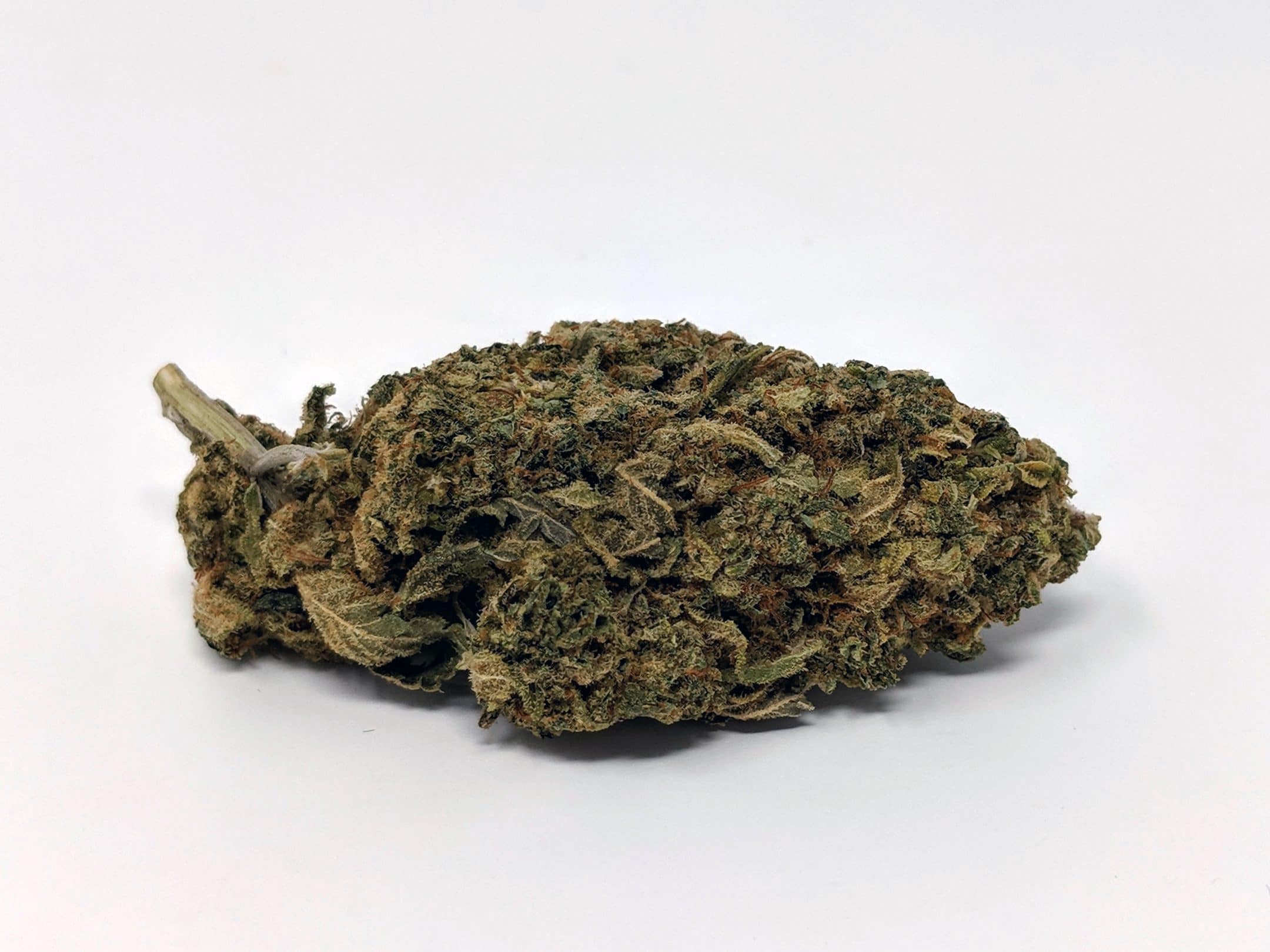 Archive image 6 for CBD Lemoncello Cannabis Strain Information & Review