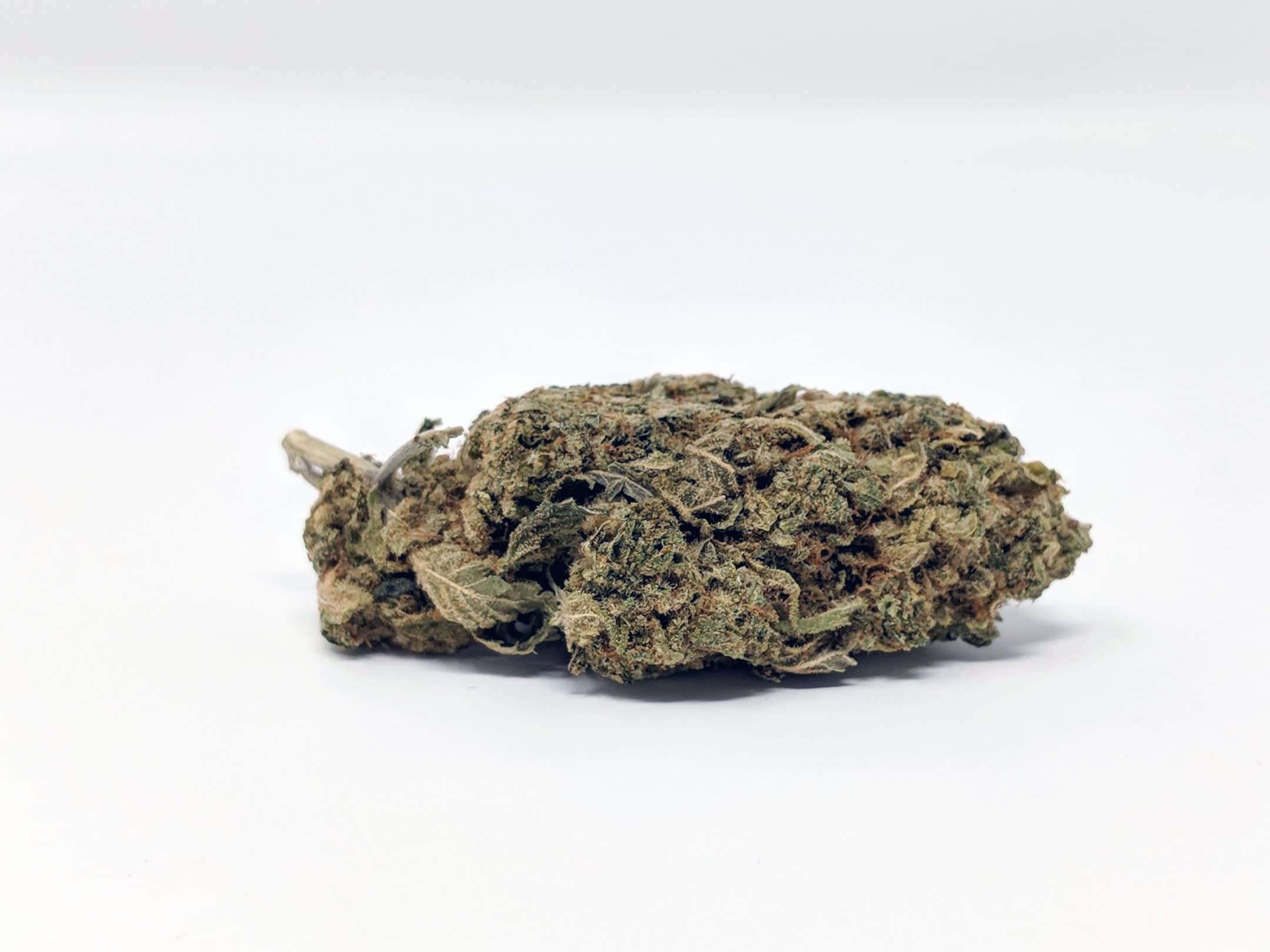Archive image 8 for CBD Lemoncello Cannabis Strain Information & Review