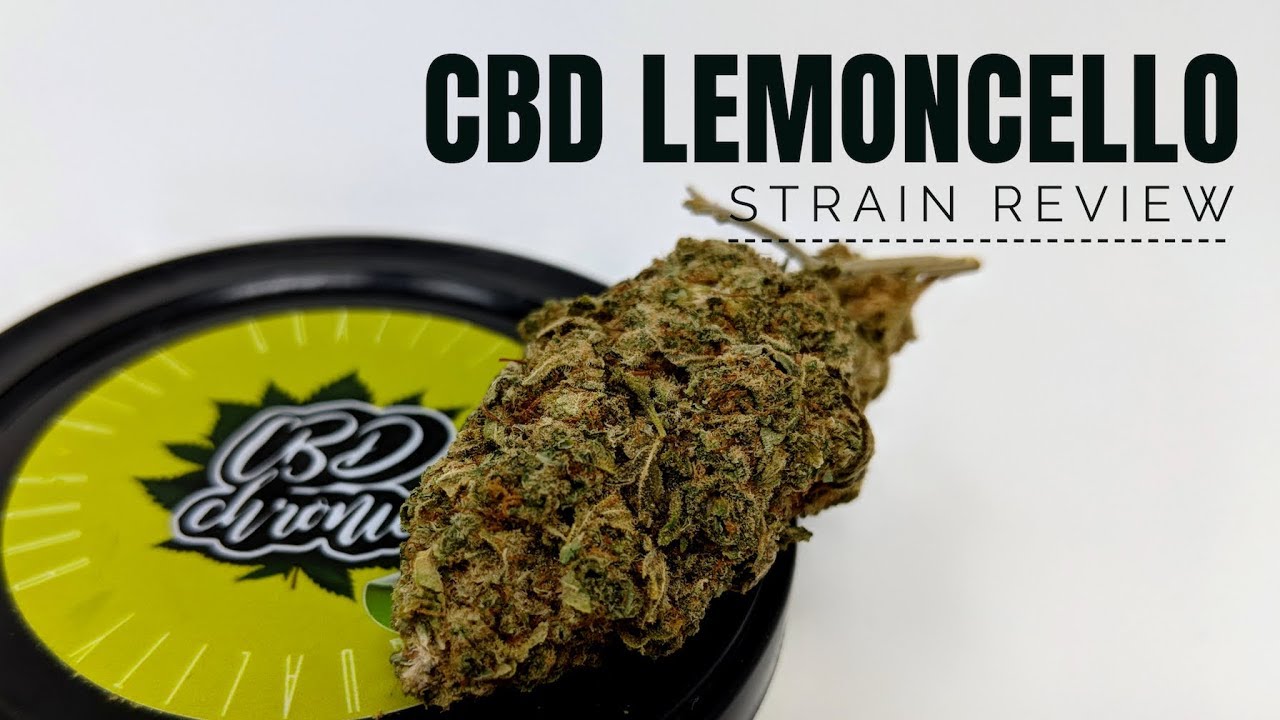 Archive image 9 for CBD Lemoncello Cannabis Strain Information & Review