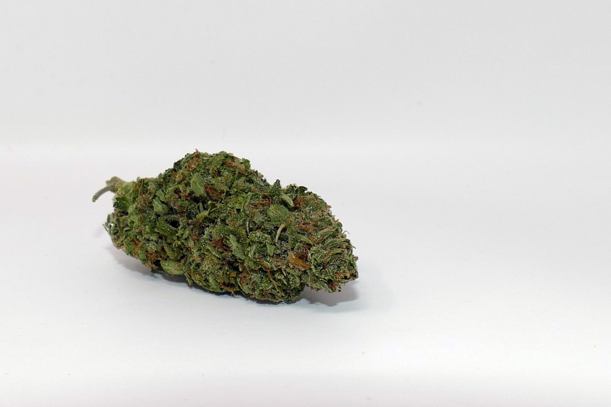 Archive image 2 for Cheese Cannabis Strain Review & Information