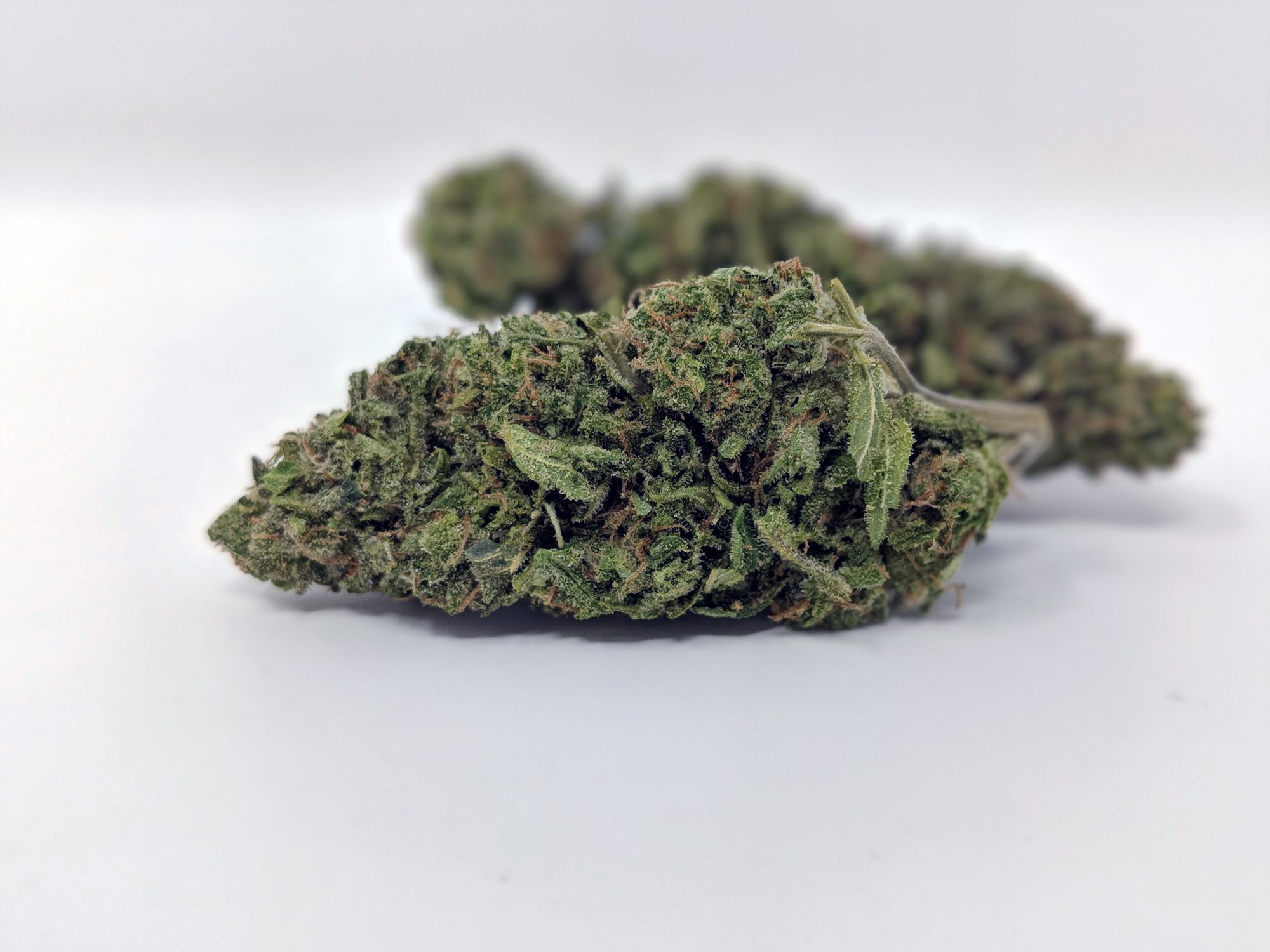 Archive image 3 for Cheese Cannabis Strain Review & Information
