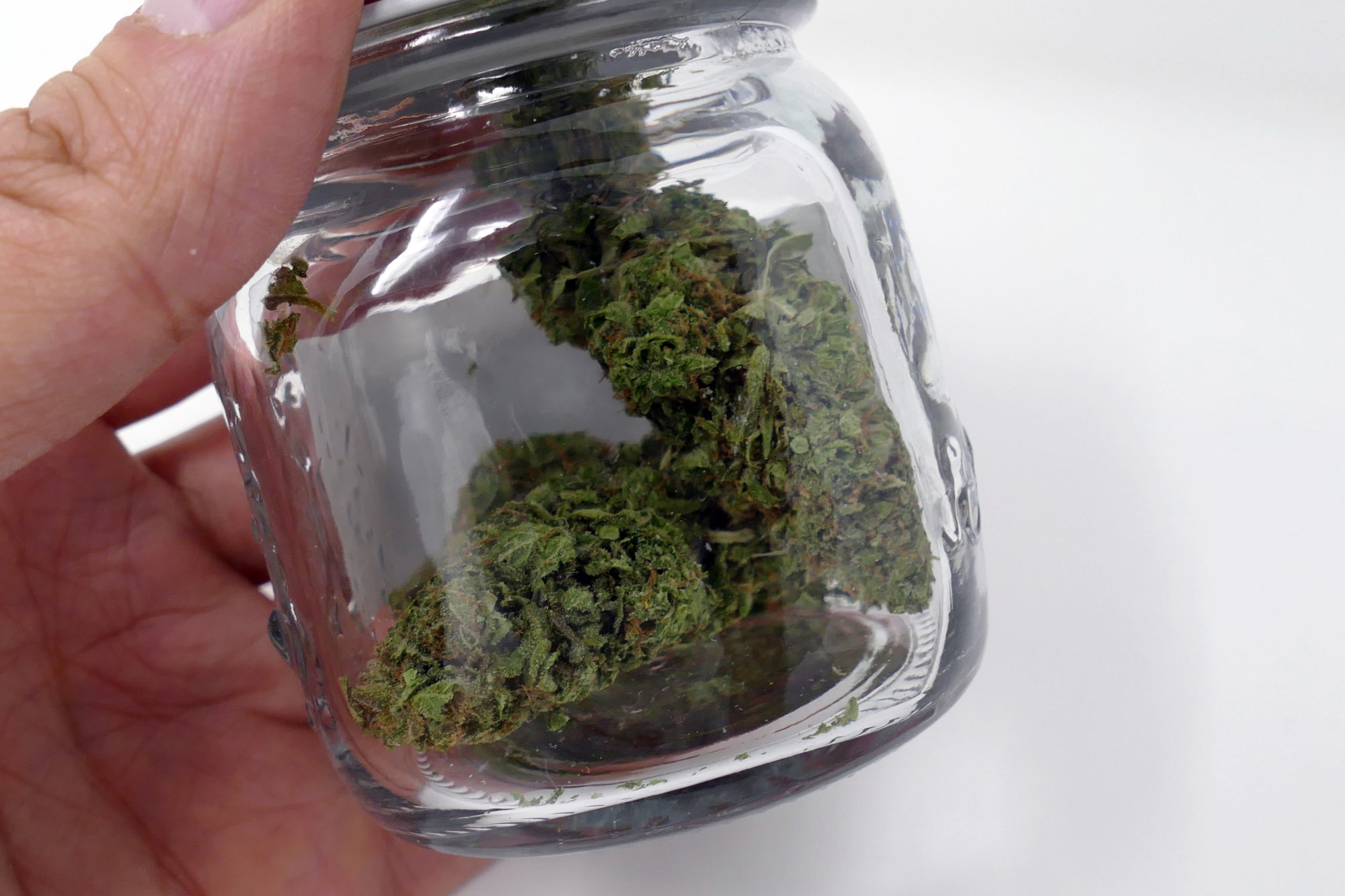 Archive image 4 for Cheese Cannabis Strain Review & Information