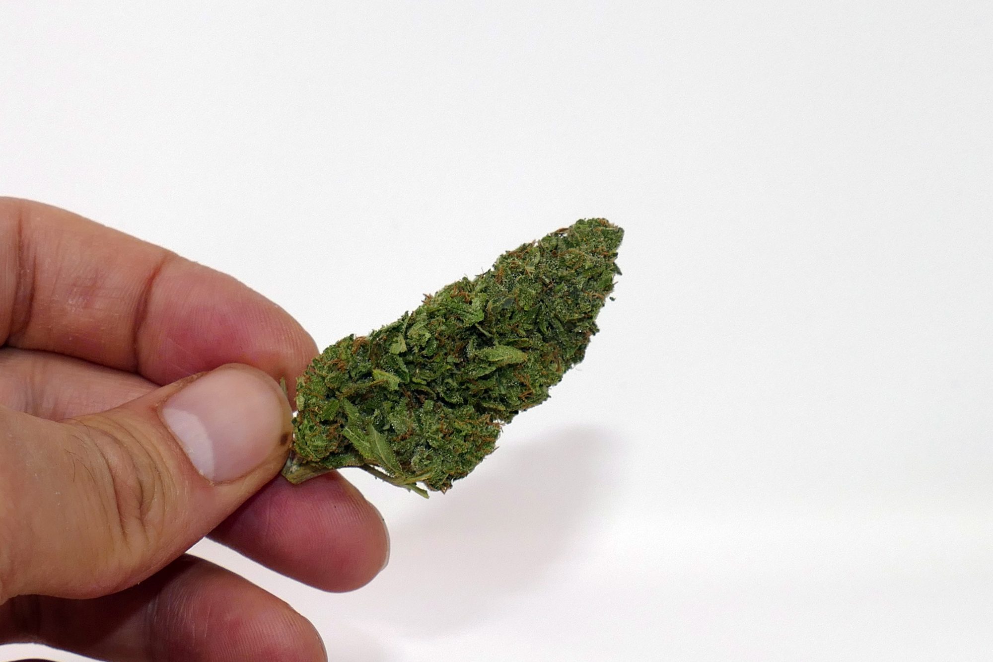Archive image 5 for Cheese Cannabis Strain Review & Information