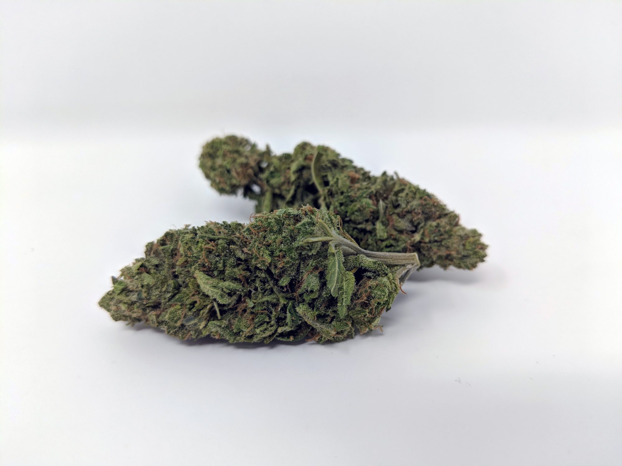 Archive image 6 for Cheese Cannabis Strain Review & Information