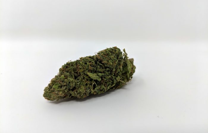 Archive image 8 for Cheese Cannabis Strain Review & Information