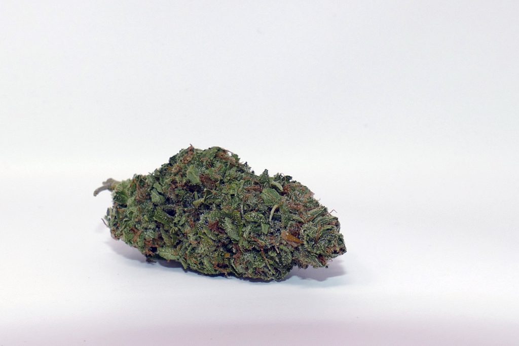 Archive image 9 for Cheese Cannabis Strain Review & Information