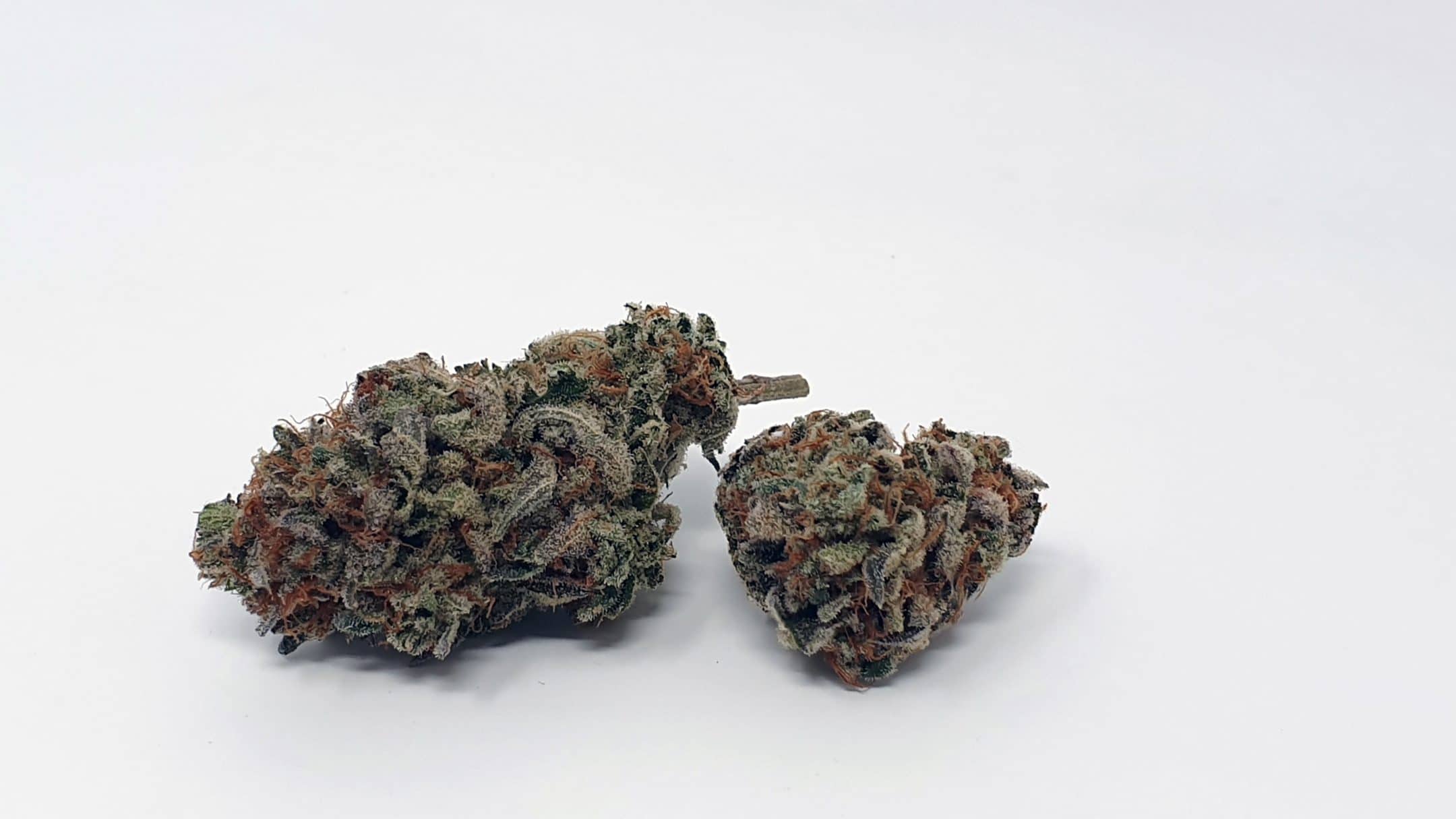 Archive image 2 for Cherry Cola Cannabis Strain Review & Information