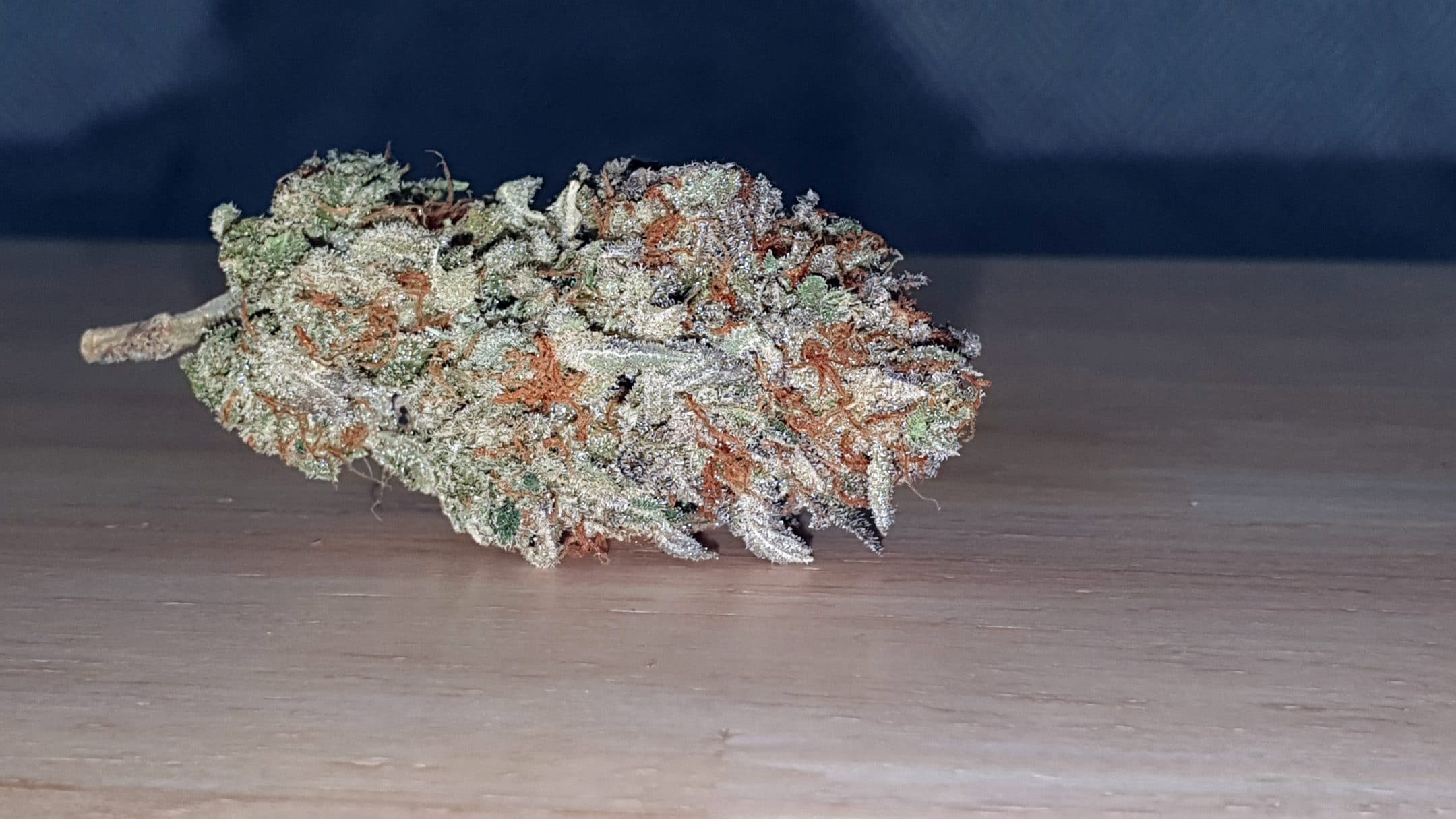 Archive image 3 for Cherry Cola Cannabis Strain Review & Information