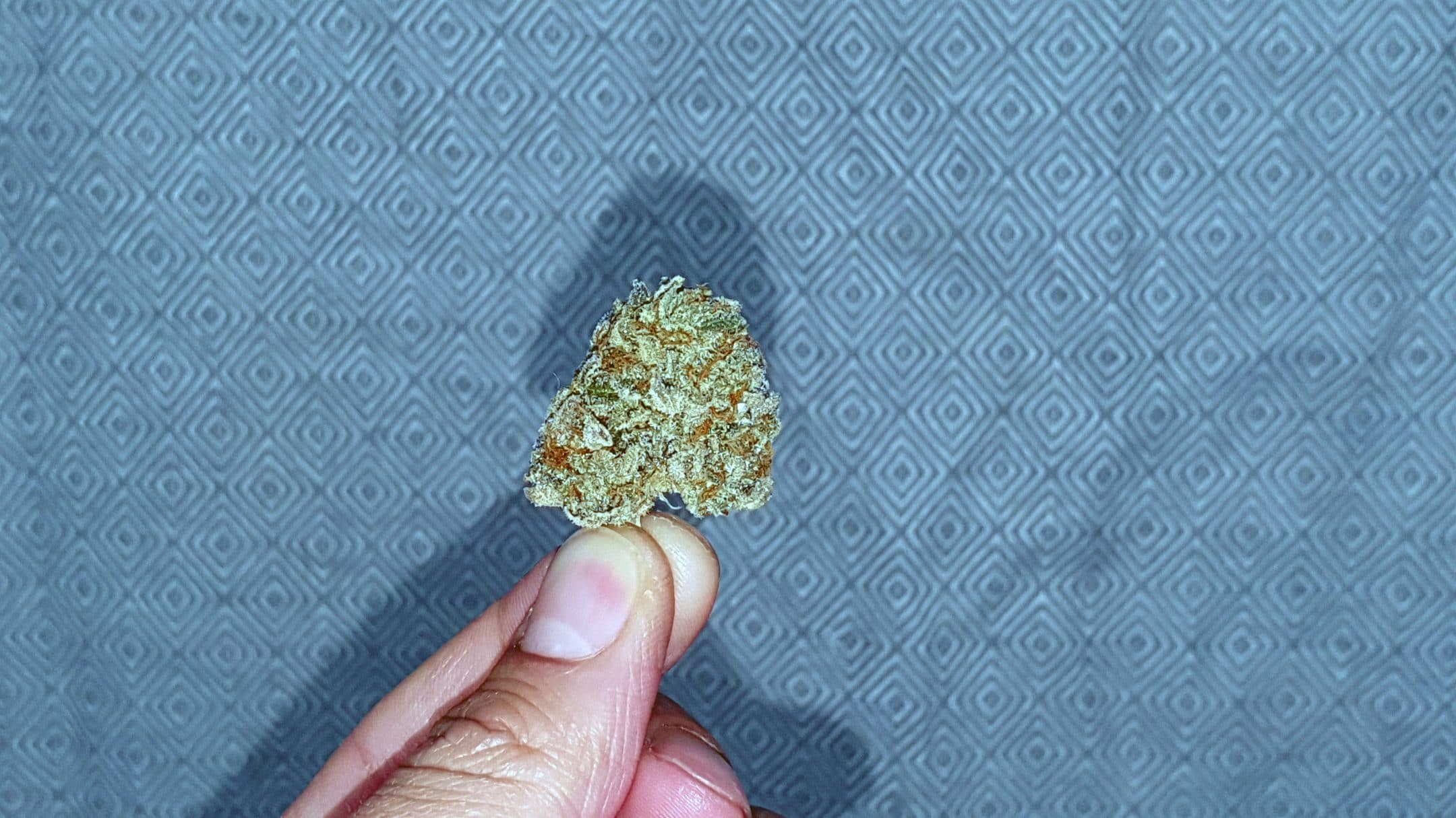 Archive image 4 for Cherry Cola Cannabis Strain Review & Information