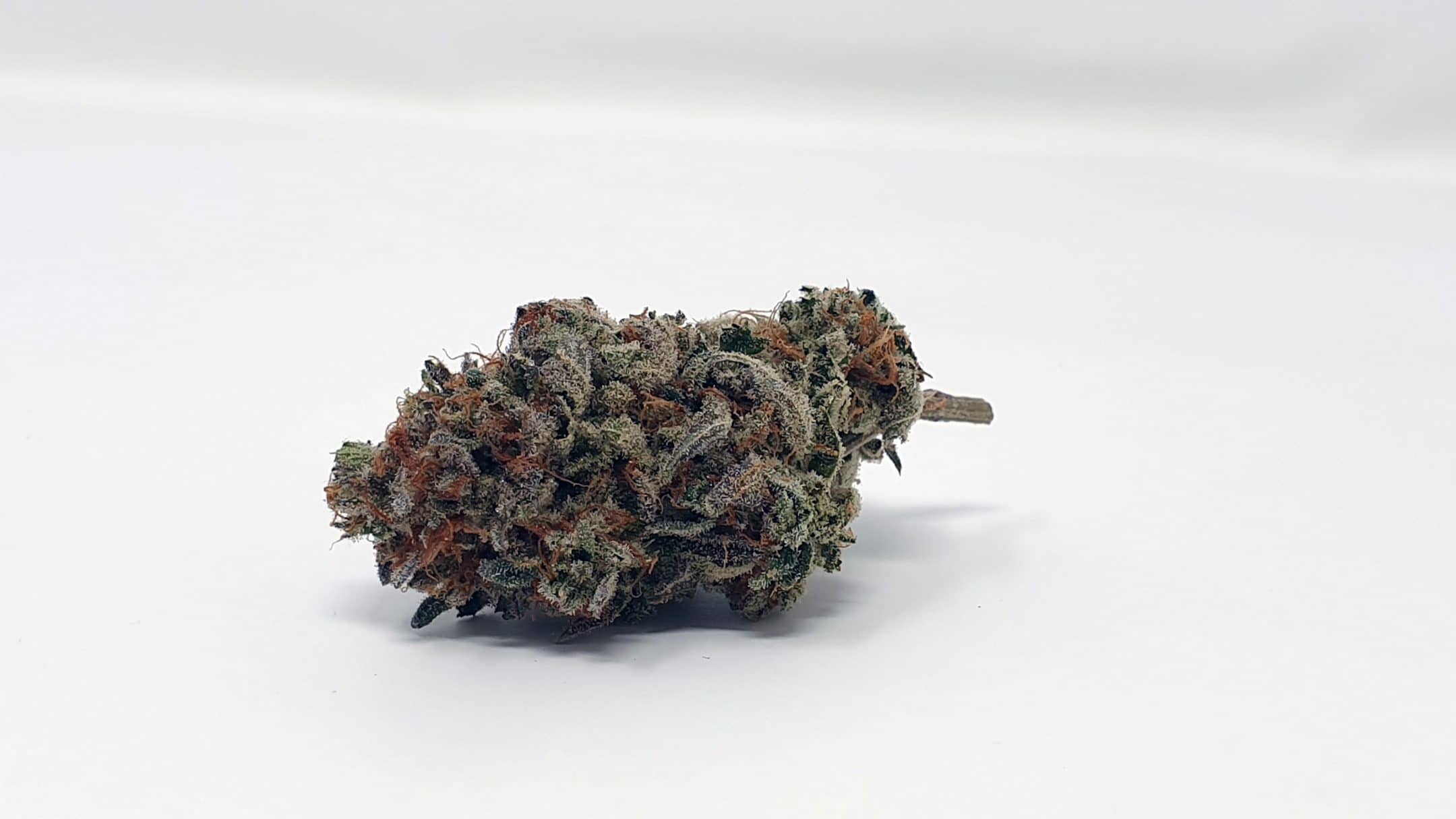 Archive image 5 for Cherry Cola Cannabis Strain Review & Information