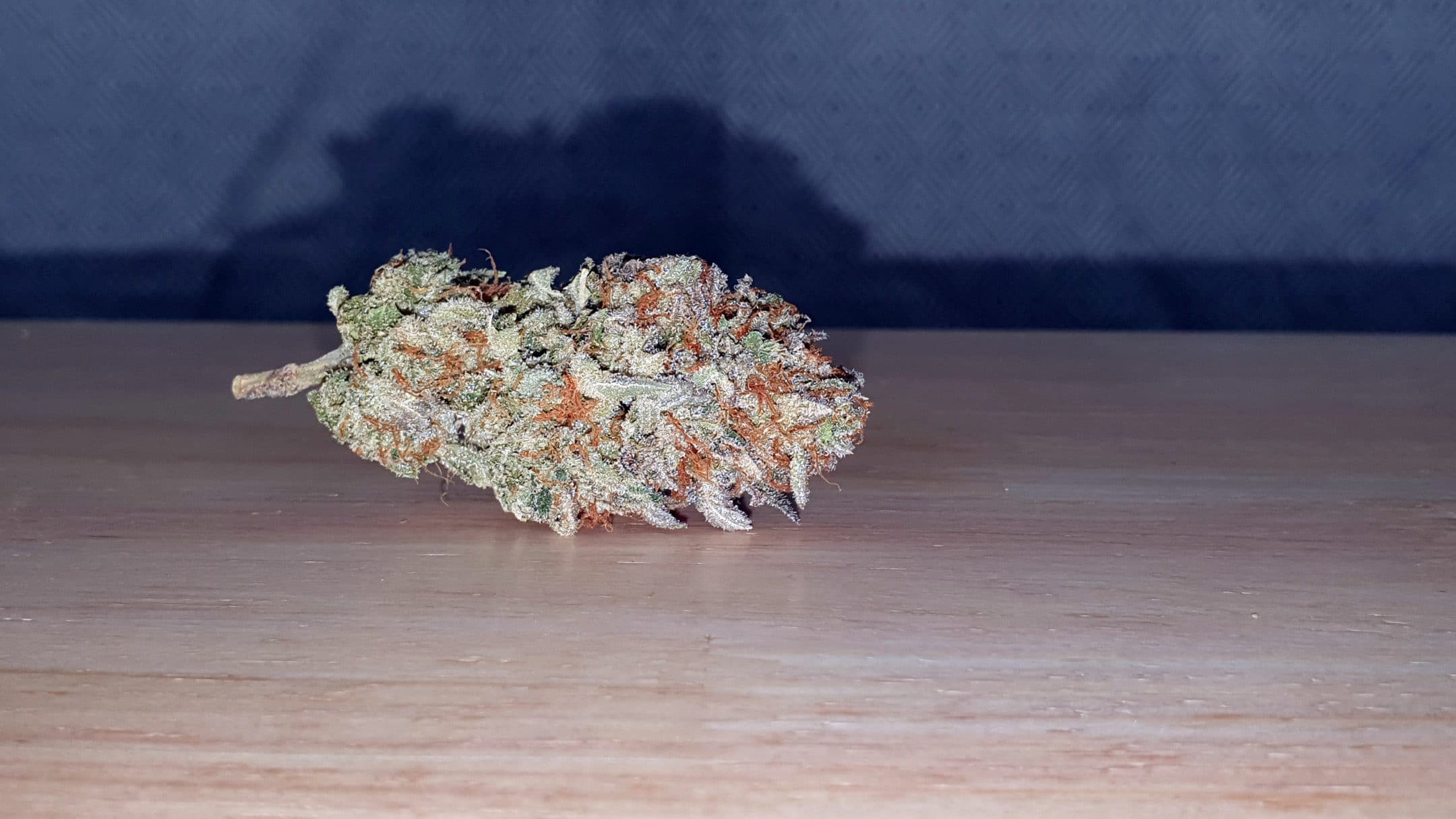 Archive image 8 for Cherry Cola Cannabis Strain Review & Information