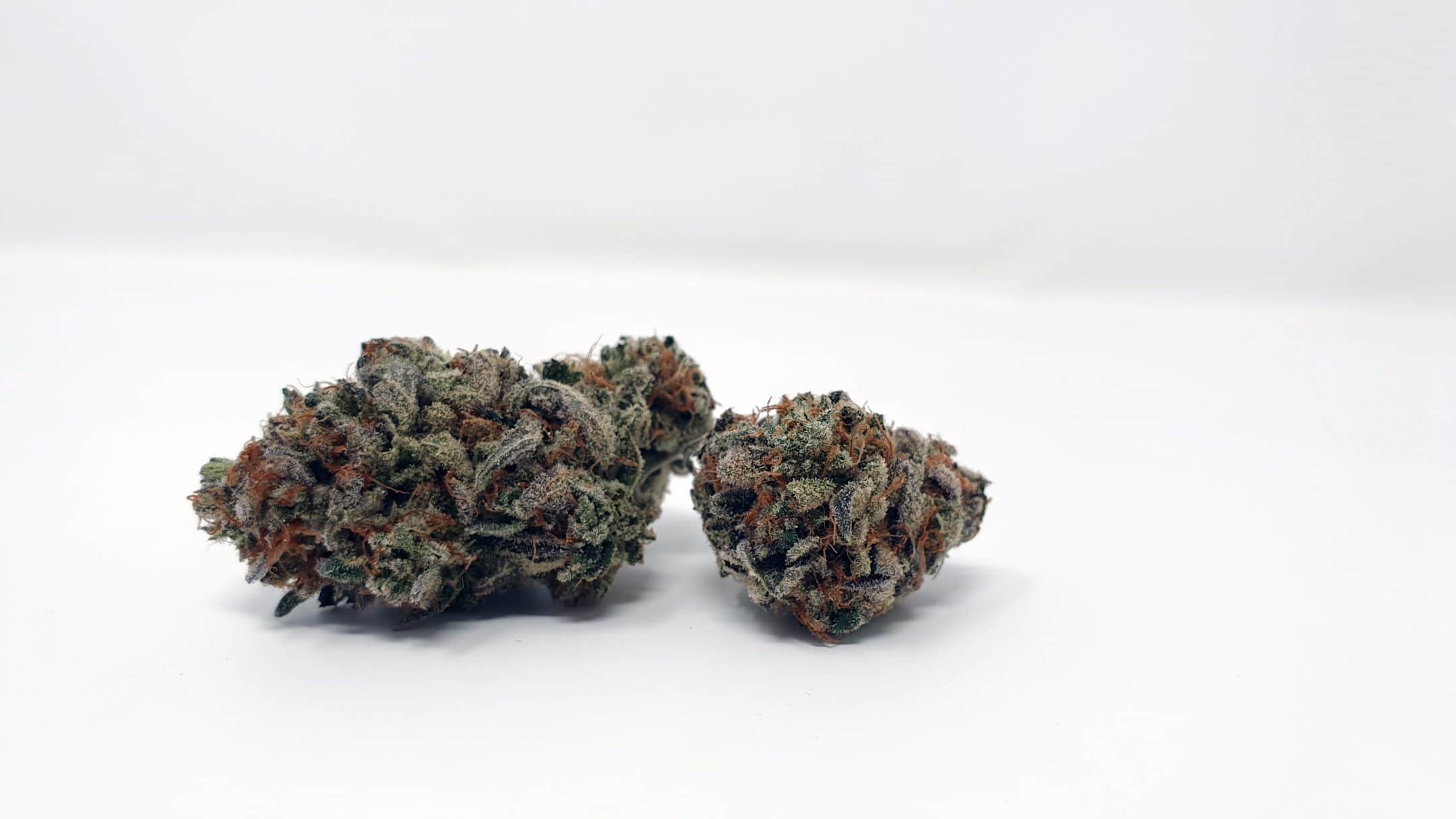 Archive image 9 for Cherry Cola Cannabis Strain Review & Information