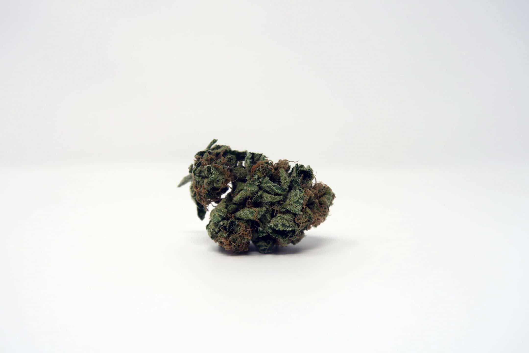 Archive image 6 for Chocolate Kush Strain Review