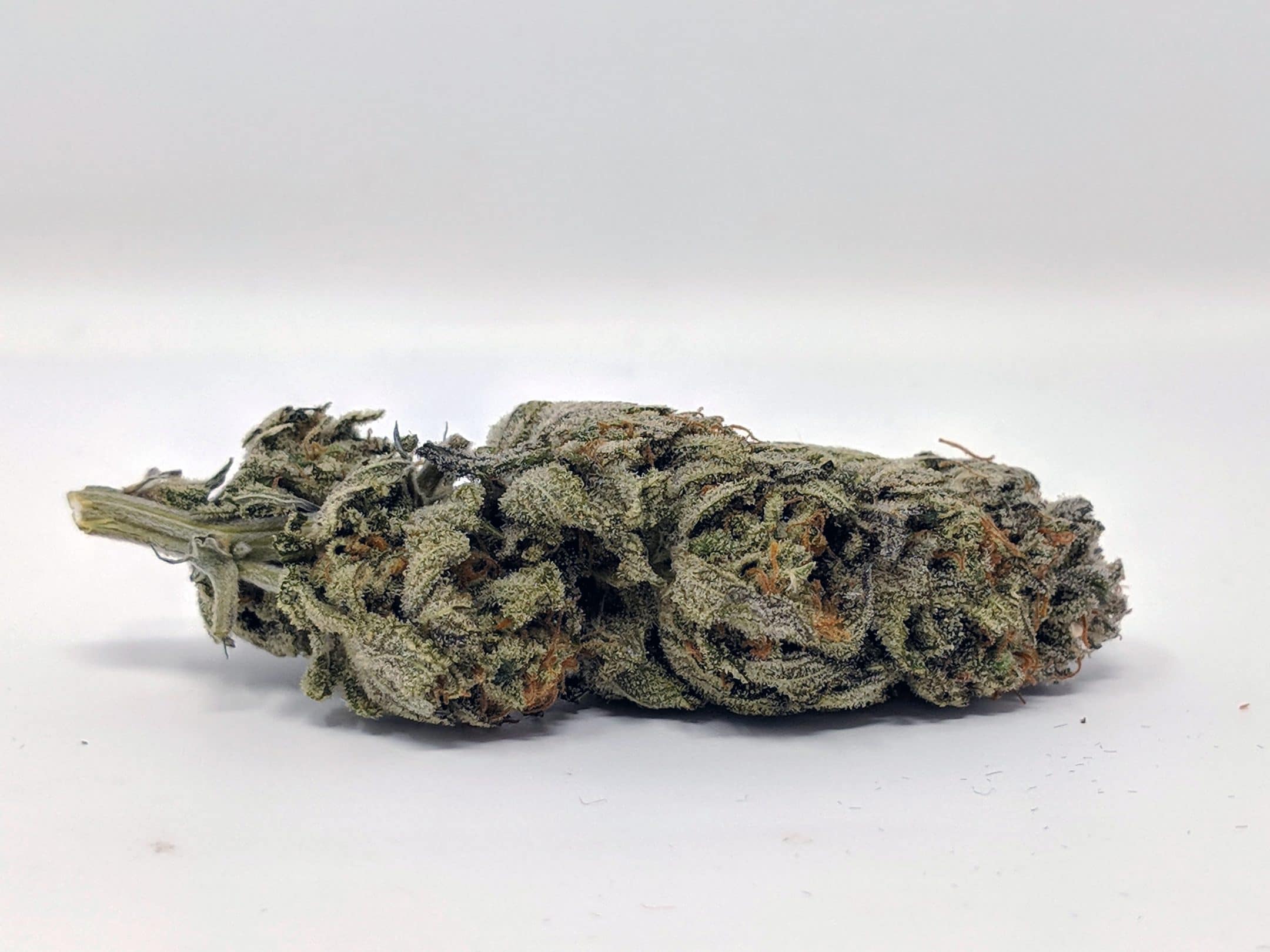 Archive image 3 for Chocolate Mint OG Strain review & Information