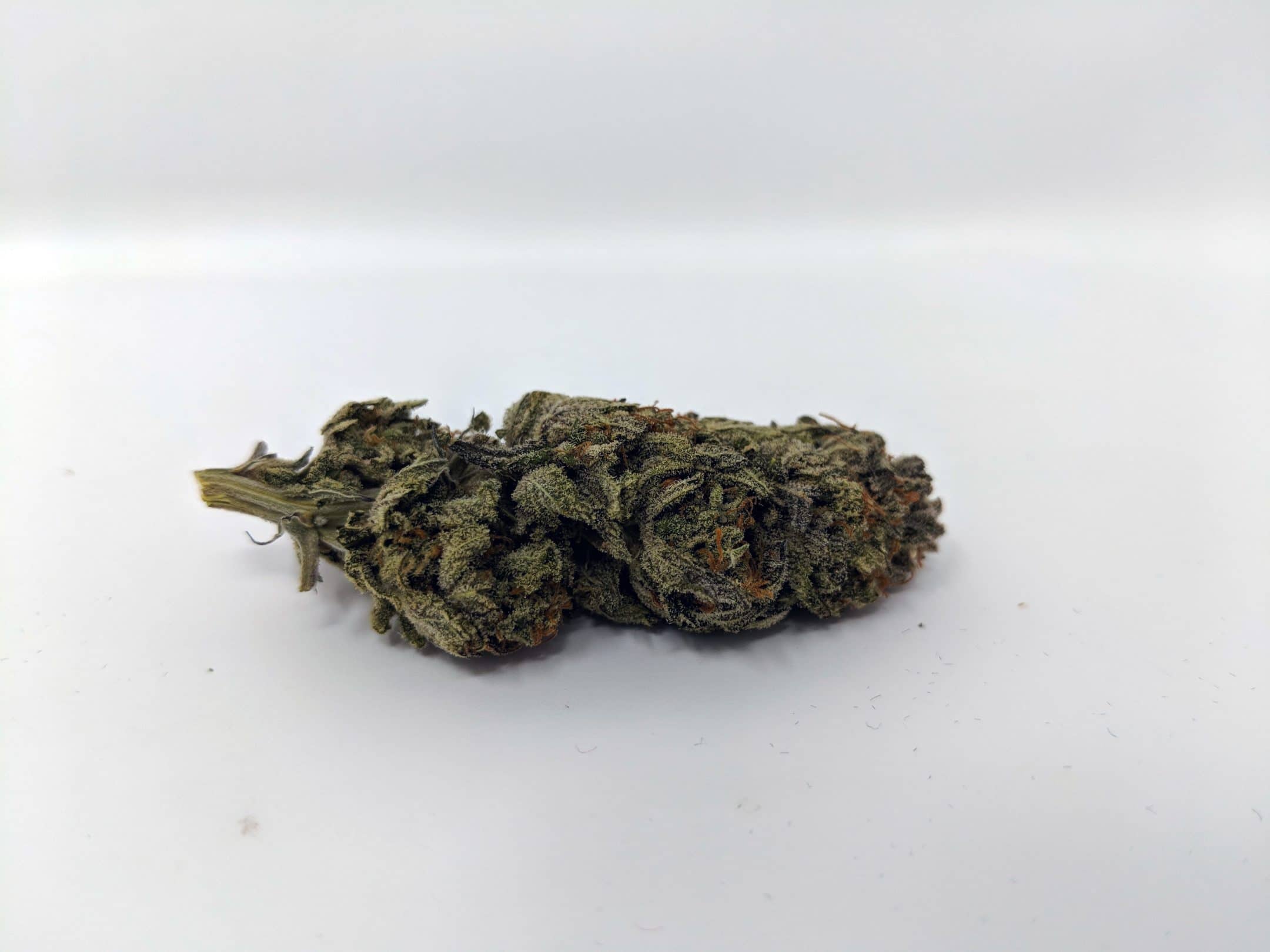Archive image 5 for Chocolate Mint OG Strain review & Information