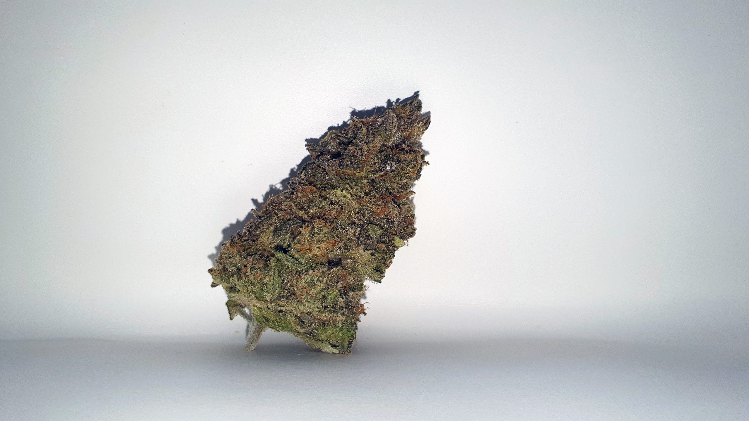Archive image 4 for Chocolate Orange Cannabis Strain Review & Information