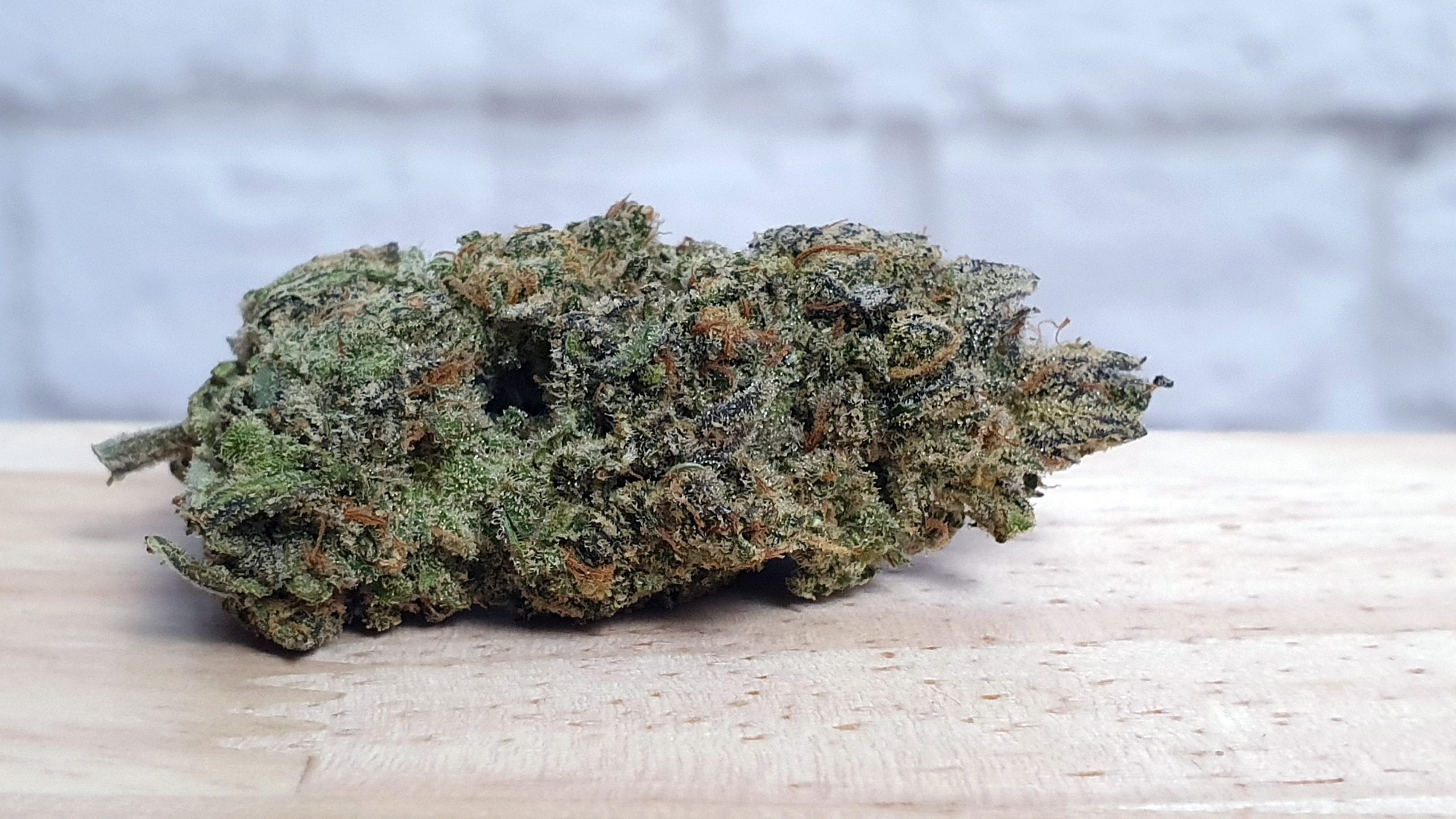 Archive image 5 for Chocolate Orange Cannabis Strain Review & Information