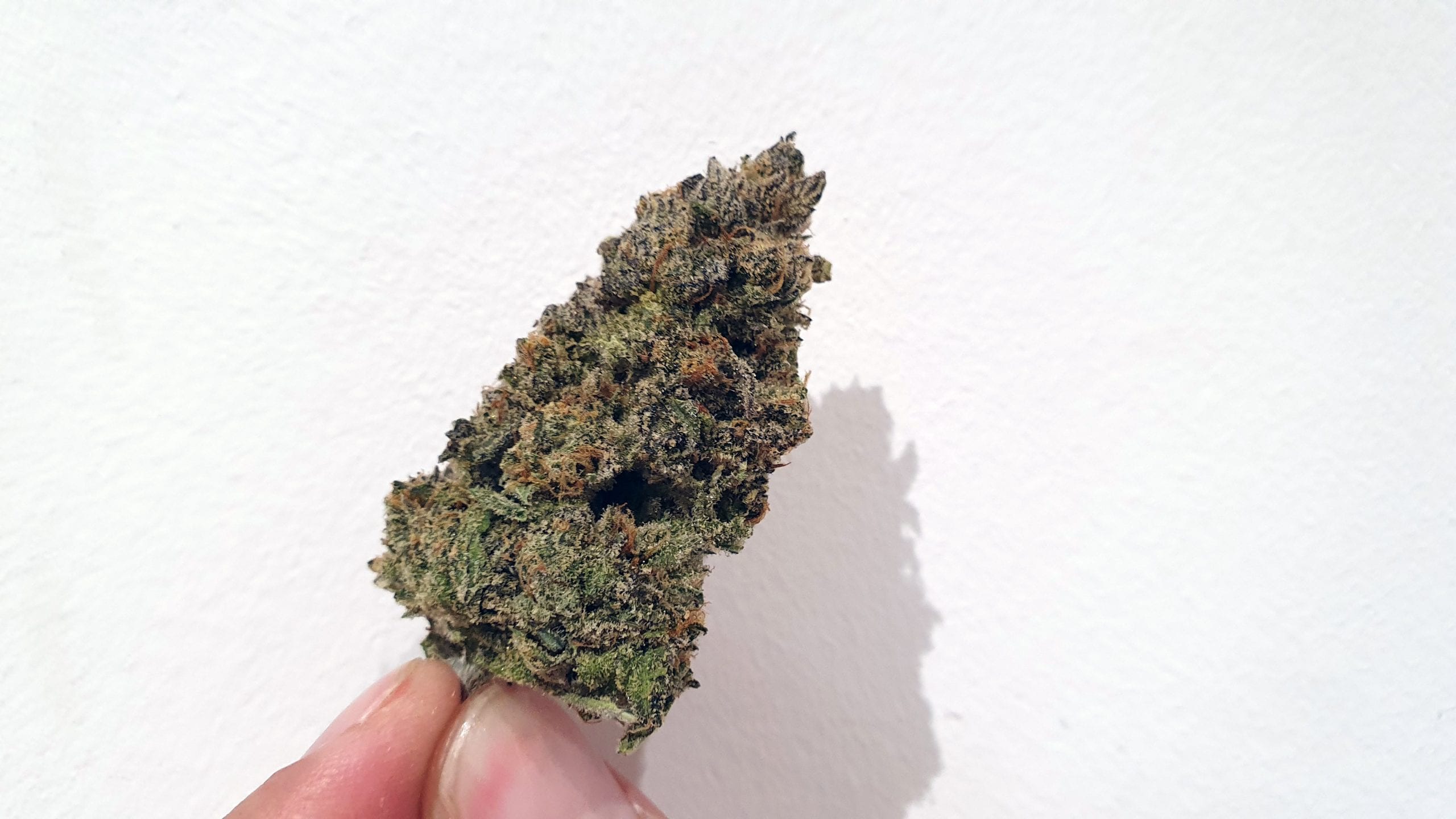 Archive image 6 for Chocolate Orange Cannabis Strain Review & Information