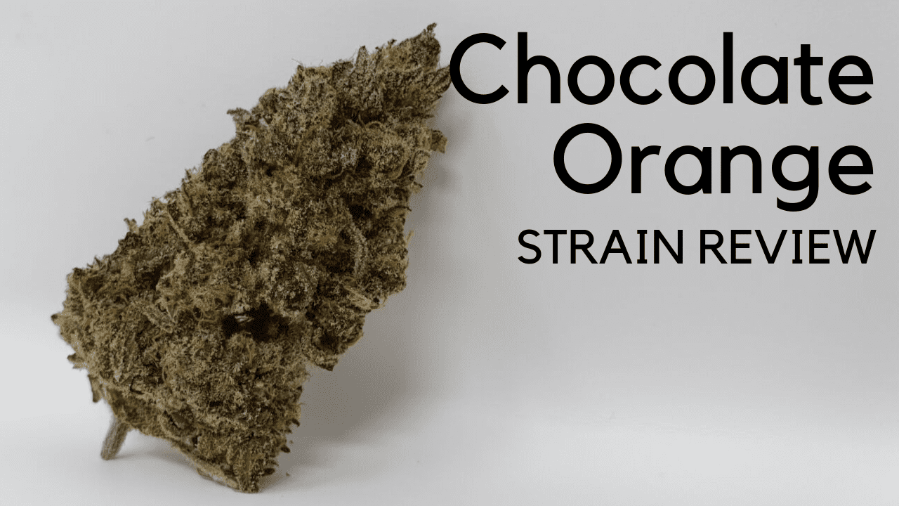 Archive image 7 for Chocolate Orange Cannabis Strain Review & Information