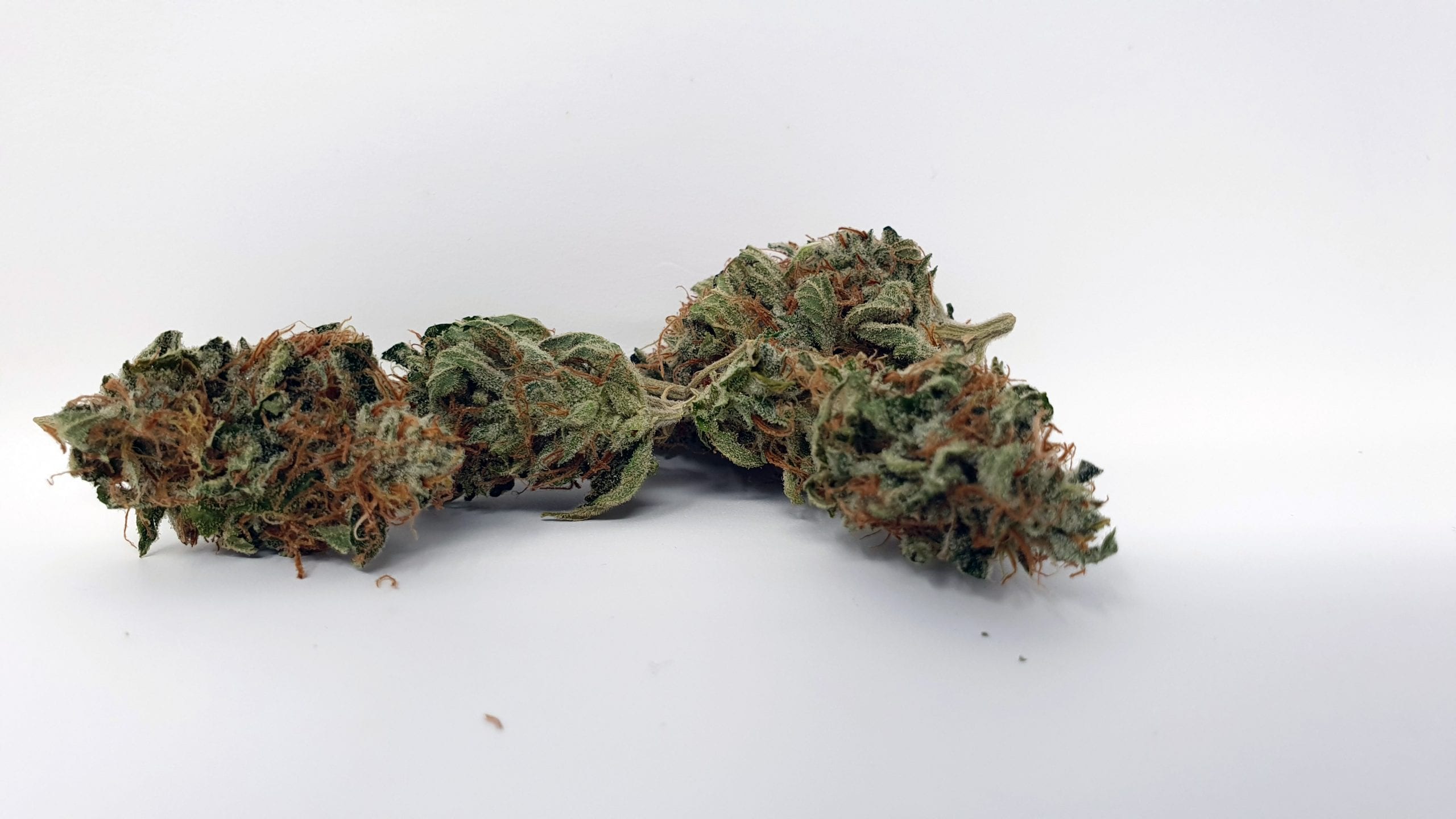 Archive image 4 for Chocolate Starfish Cannabis Strain Review & Information