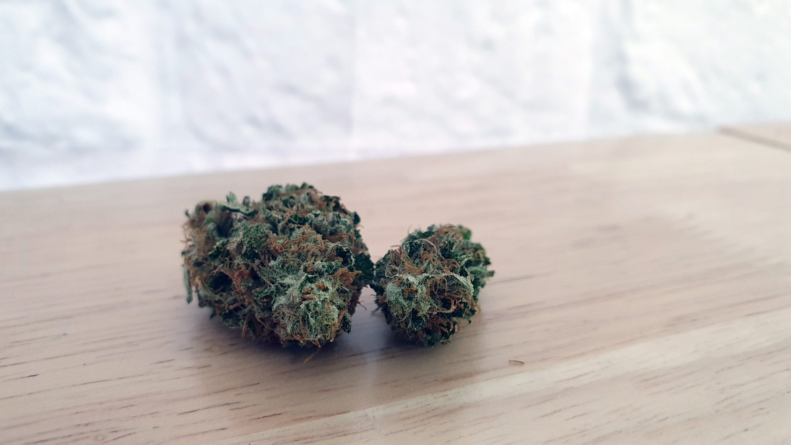 Archive image 5 for Chocolate Starfish Cannabis Strain Review & Information