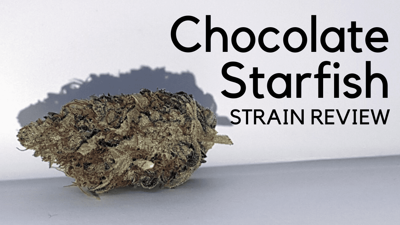 Archive image 6 for Chocolate Starfish Cannabis Strain Review & Information