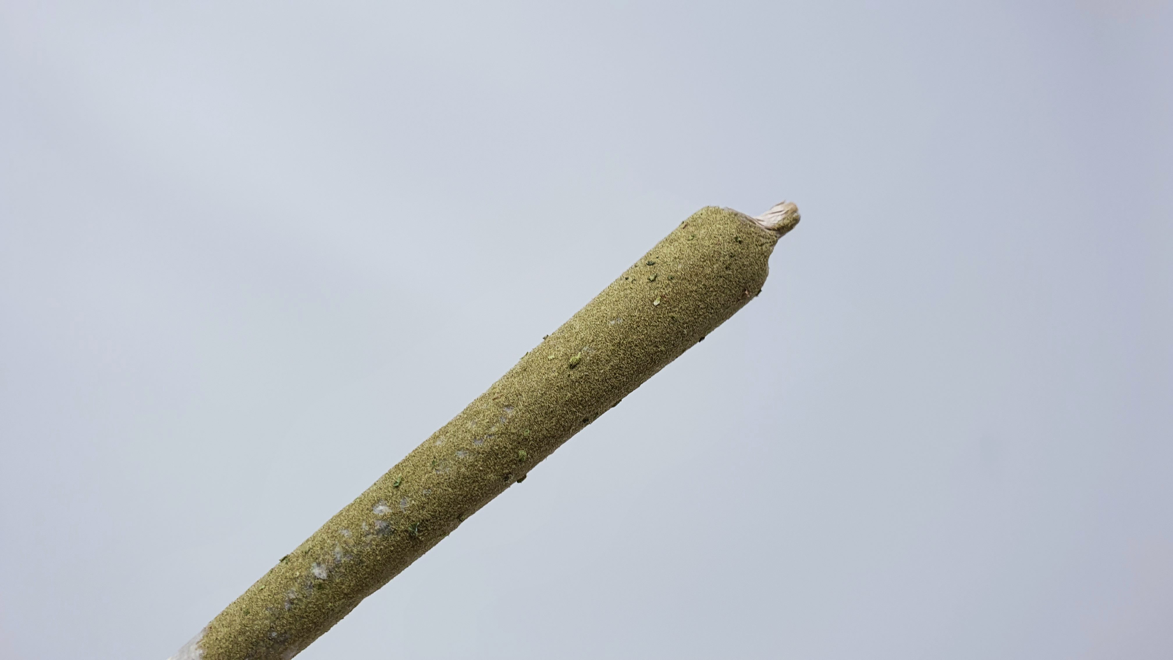 Archive image 8 for Clementine Strain review & Information