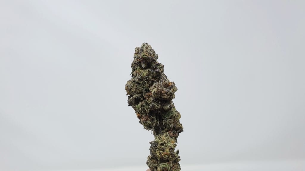 Archive image 3 for Cookies Zauce Cannabis Strain Review & Information