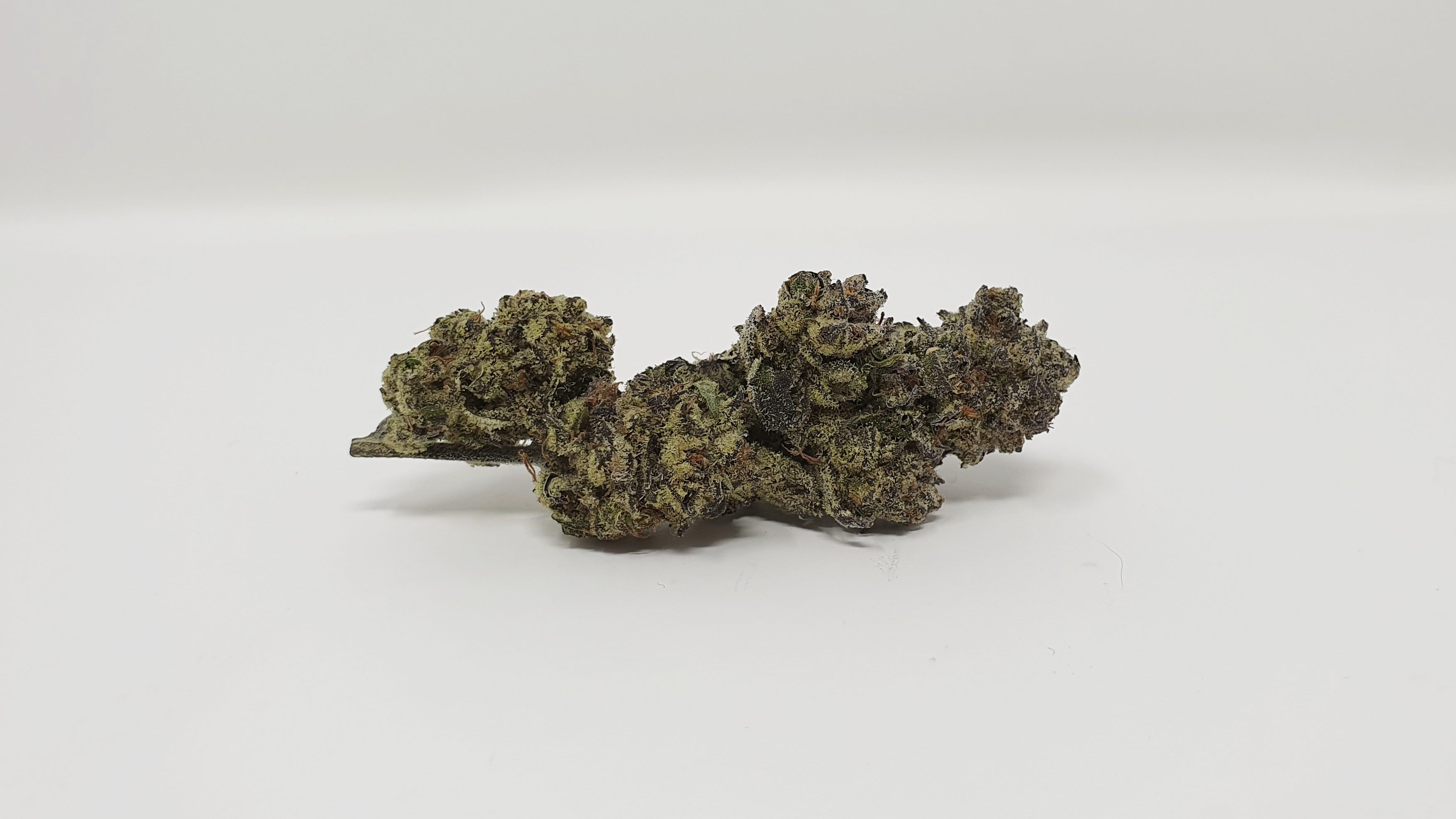 Archive image 5 for Cookies Zauce Cannabis Strain Review & Information