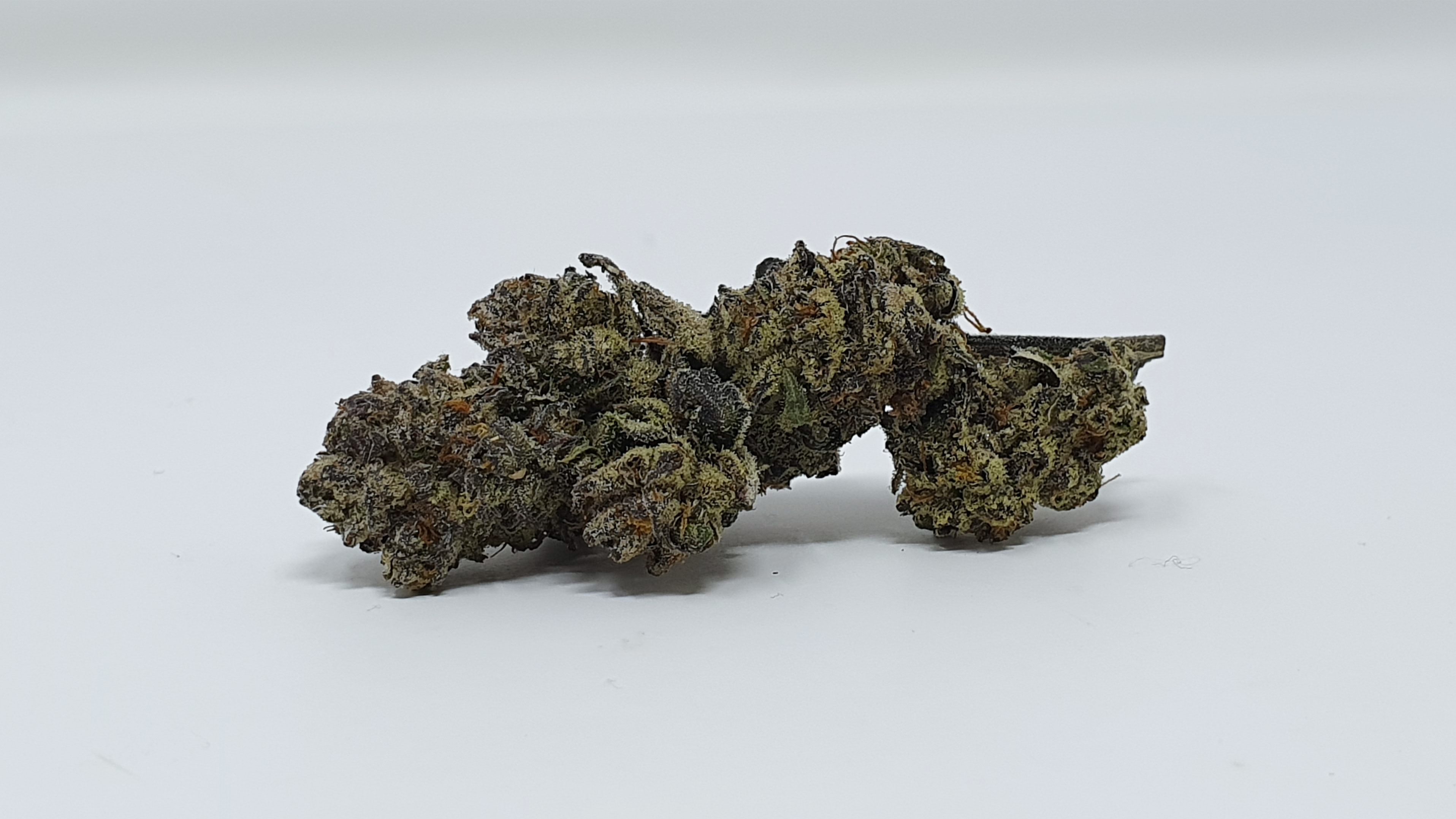 Archive image 9 for Cookies Zauce Cannabis Strain Review & Information