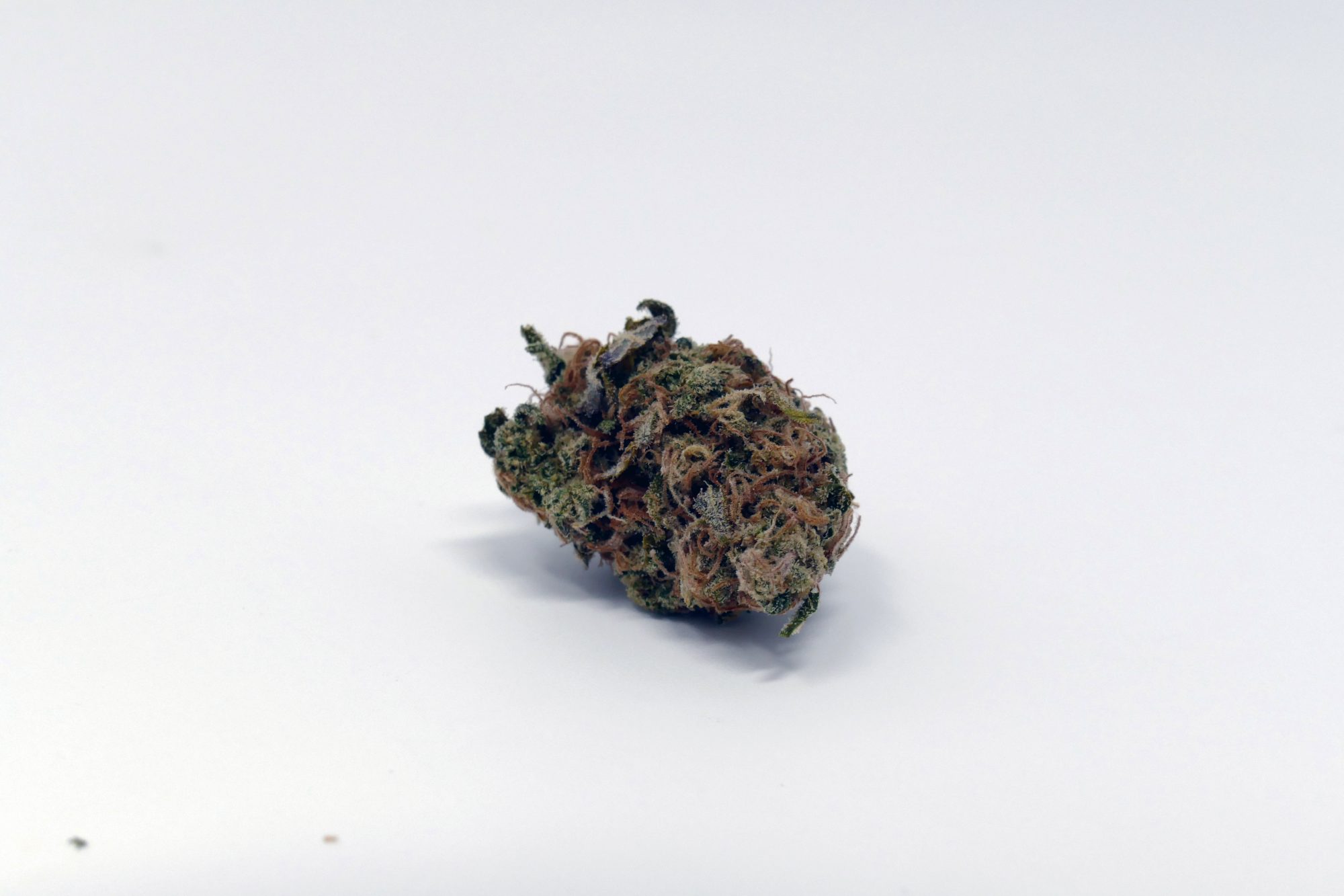 Archive image 2 for Critical Plus 2.0 Cannabis Strain Information & Review