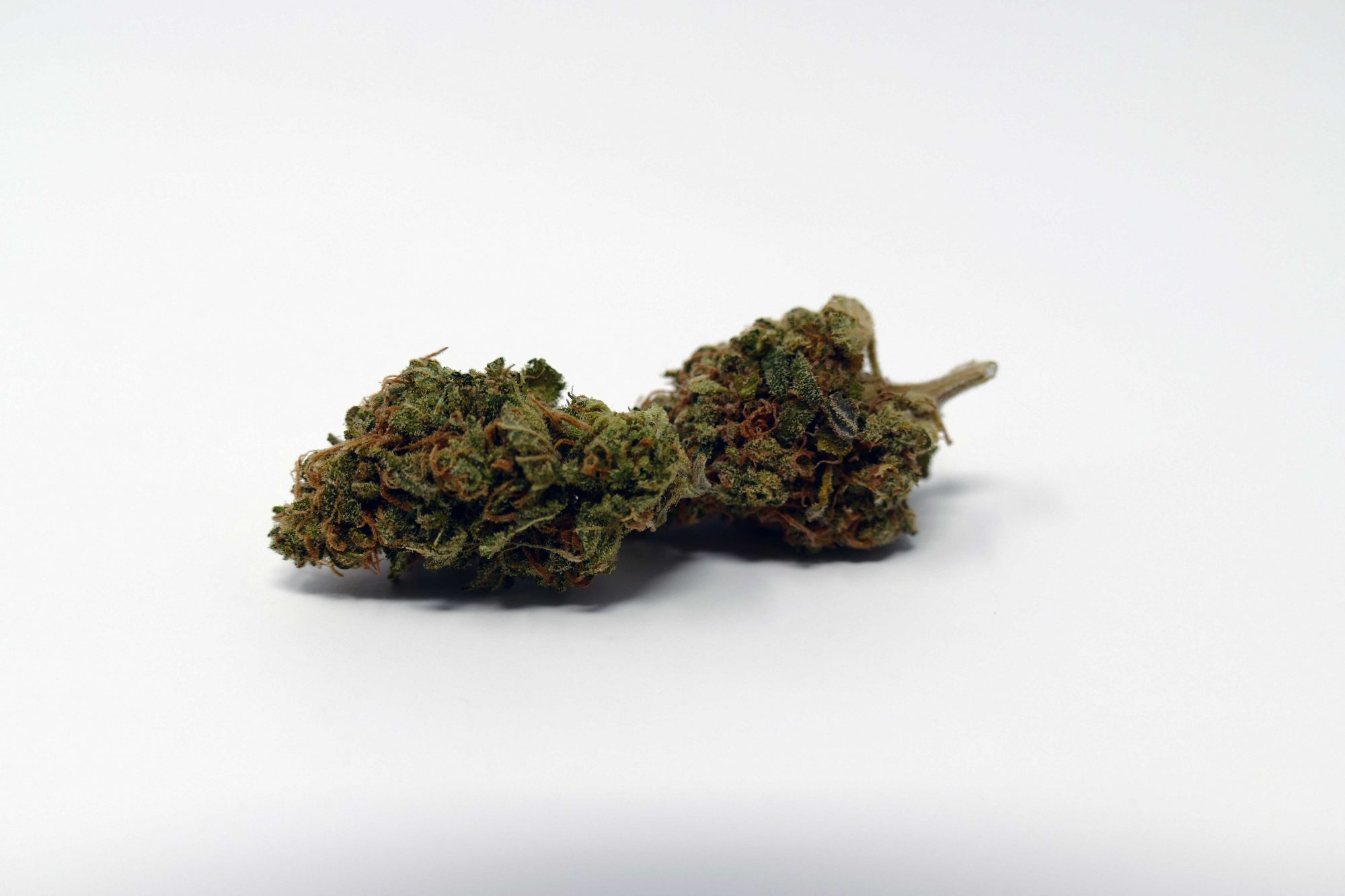 Archive image 3 for Critical Plus 2.0 Cannabis Strain Information & Review