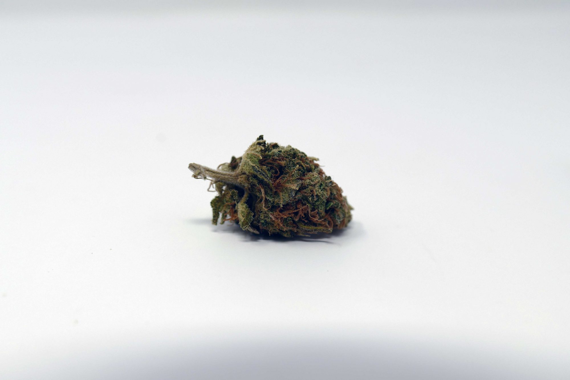 Archive image 4 for Critical Plus 2.0 Cannabis Strain Information & Review