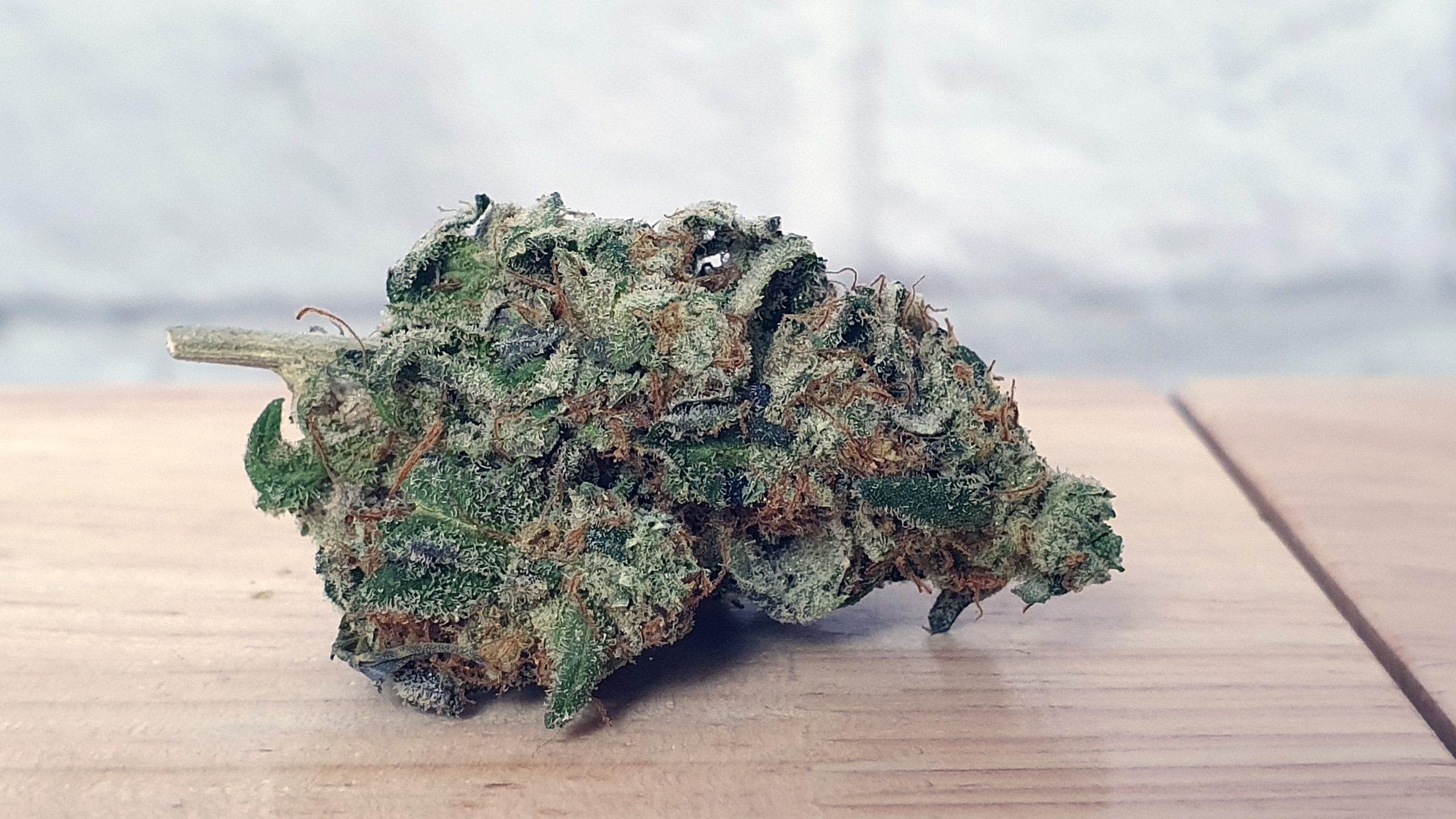 Archive image 2 for Crushed Berries Cannabis Strain Review & Information