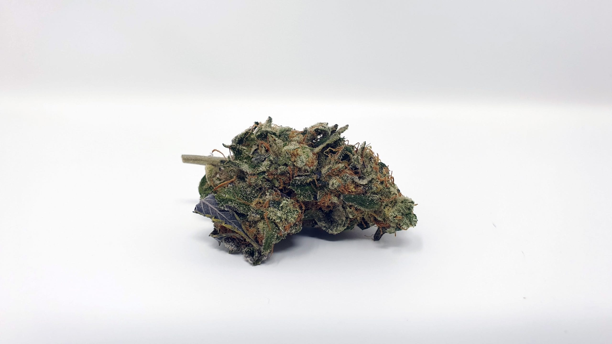 Archive image 4 for Crushed Berries Cannabis Strain Review & Information