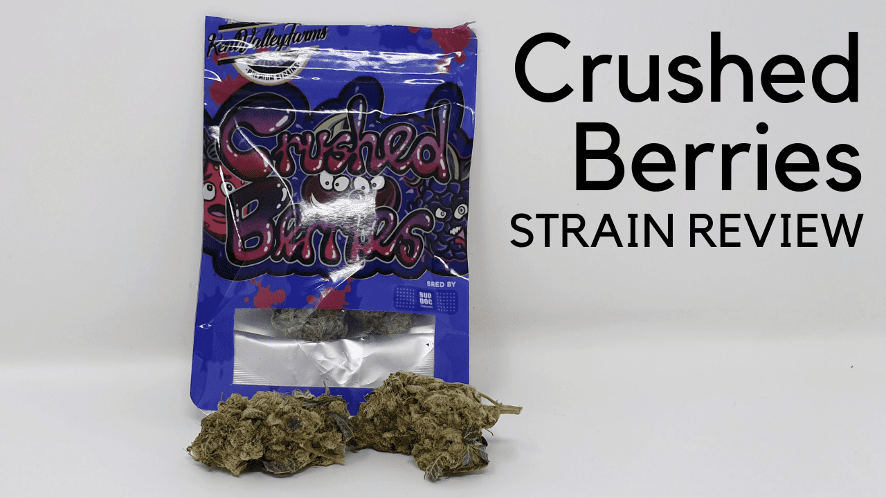 Archive image 7 for Crushed Berries Cannabis Strain Review & Information