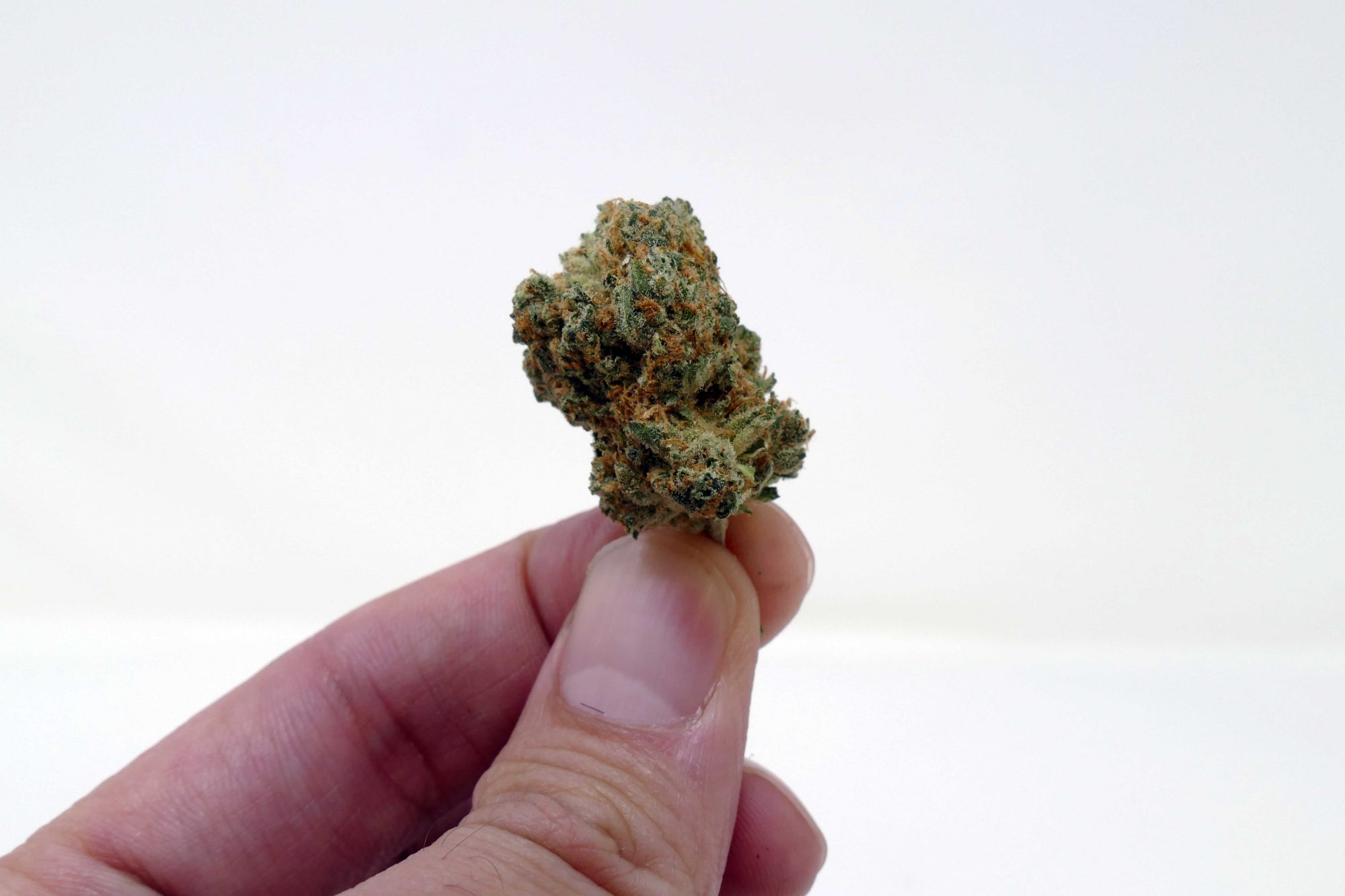 Deadhead OG Cannabis Strain Information & Review