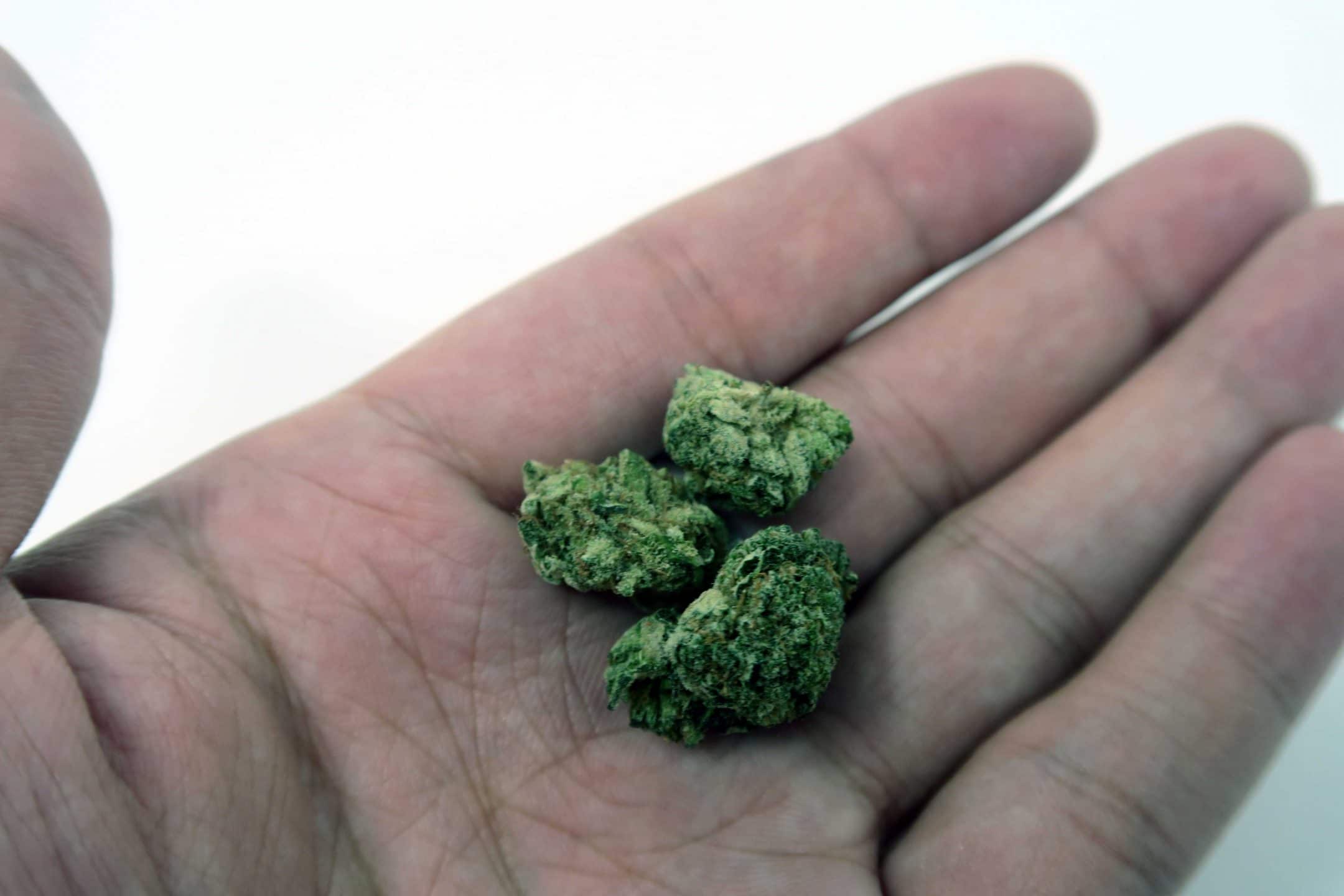 Archive image 2 for Deathbed Kush Cannabis Strain Information & Review