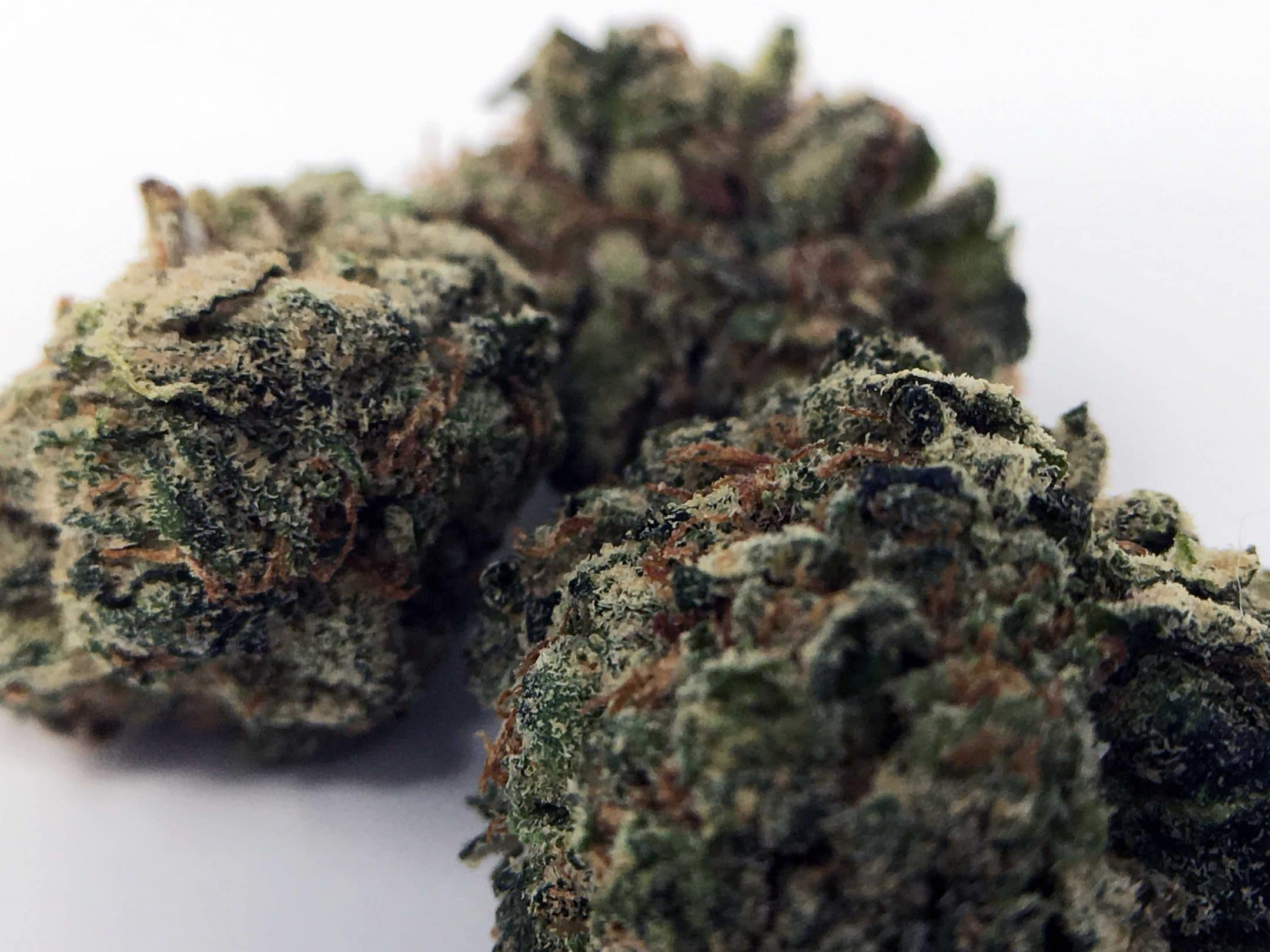 Archive image 4 for Deathbed Kush Cannabis Strain Information & Review