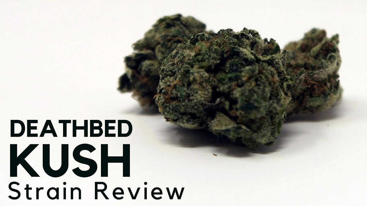 Archive image 7 for Deathbed Kush Cannabis Strain Information & Review