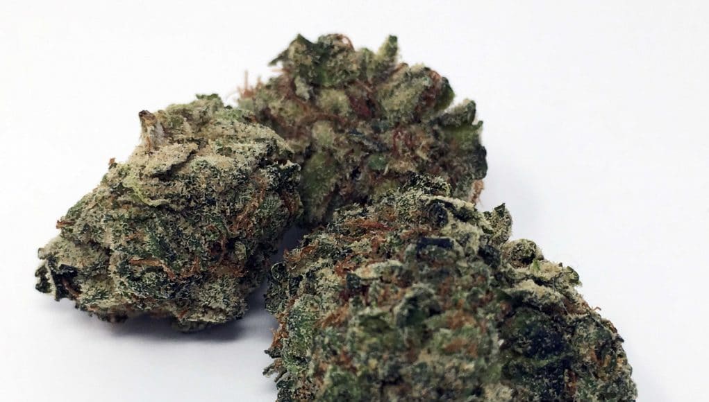 Archive image 8 for Deathbed Kush Cannabis Strain Information & Review