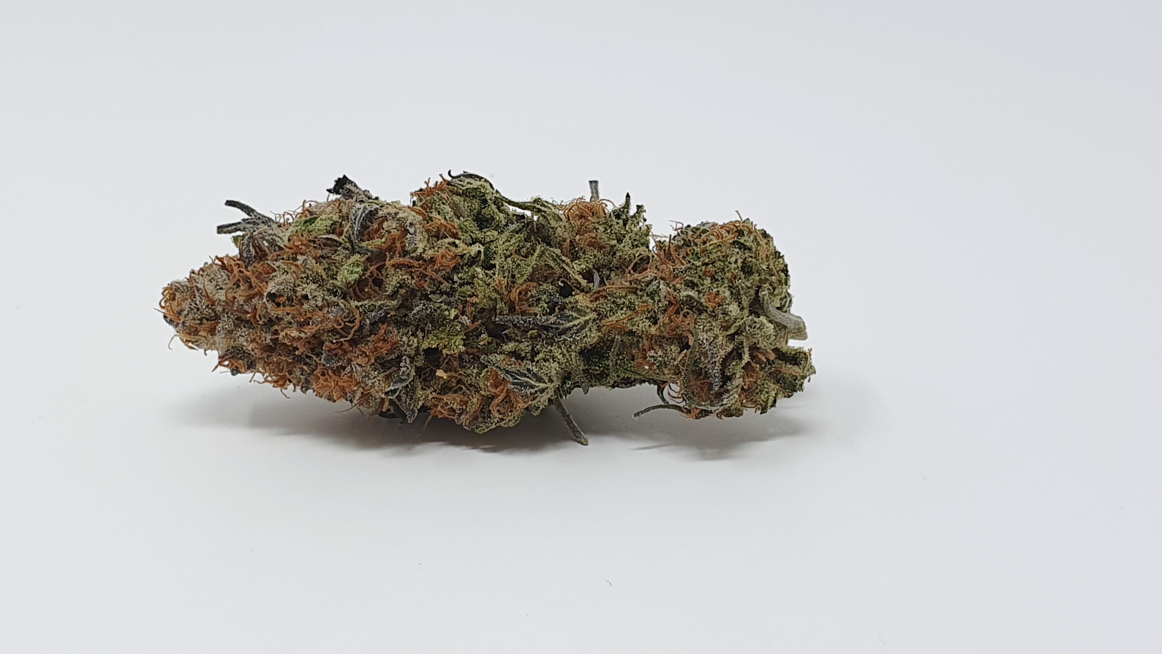 Archive image 5 for Disco Biscuit Cannabis Strain Information and Review