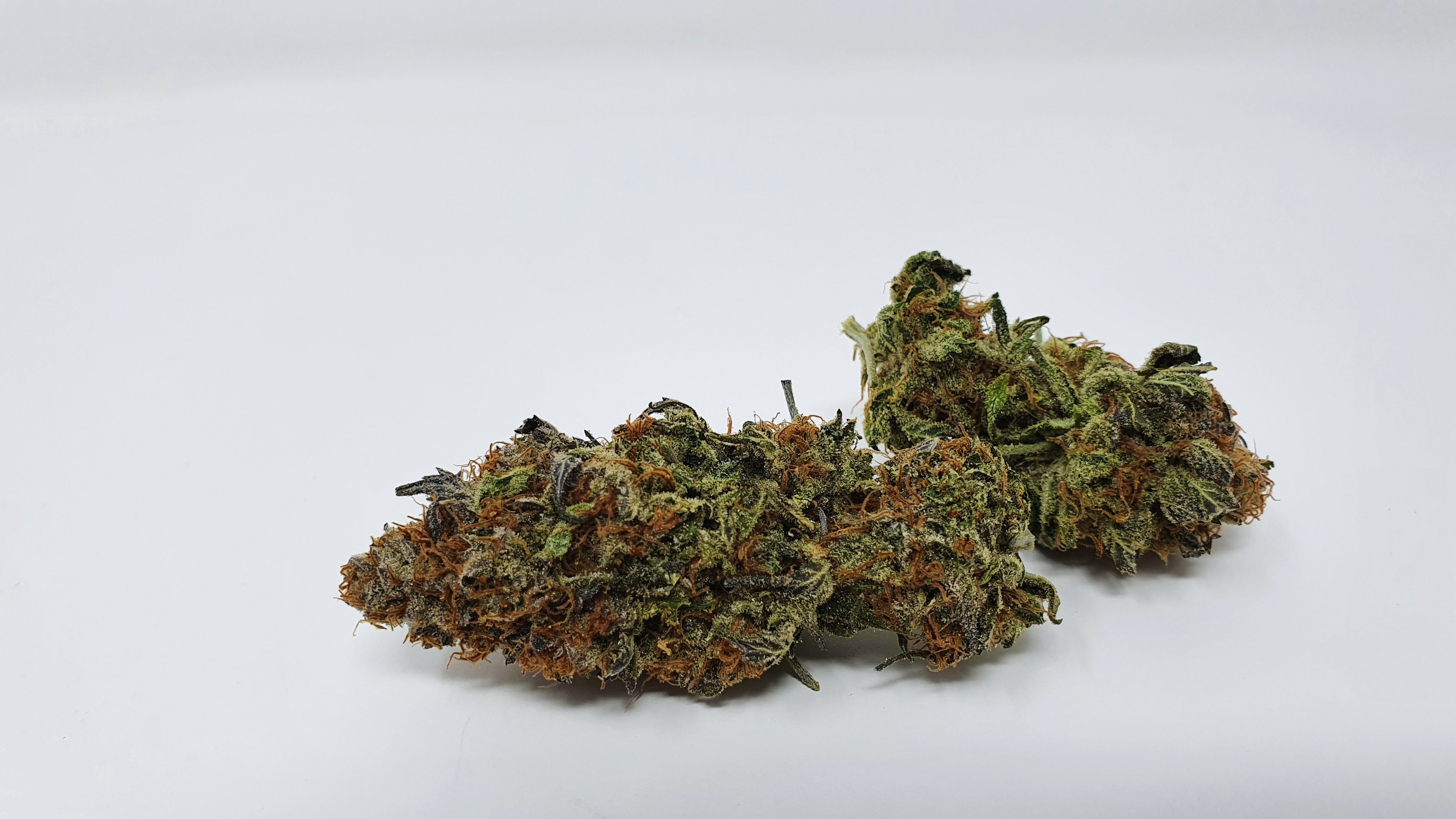 Archive image 6 for Disco Biscuit Cannabis Strain Information and Review