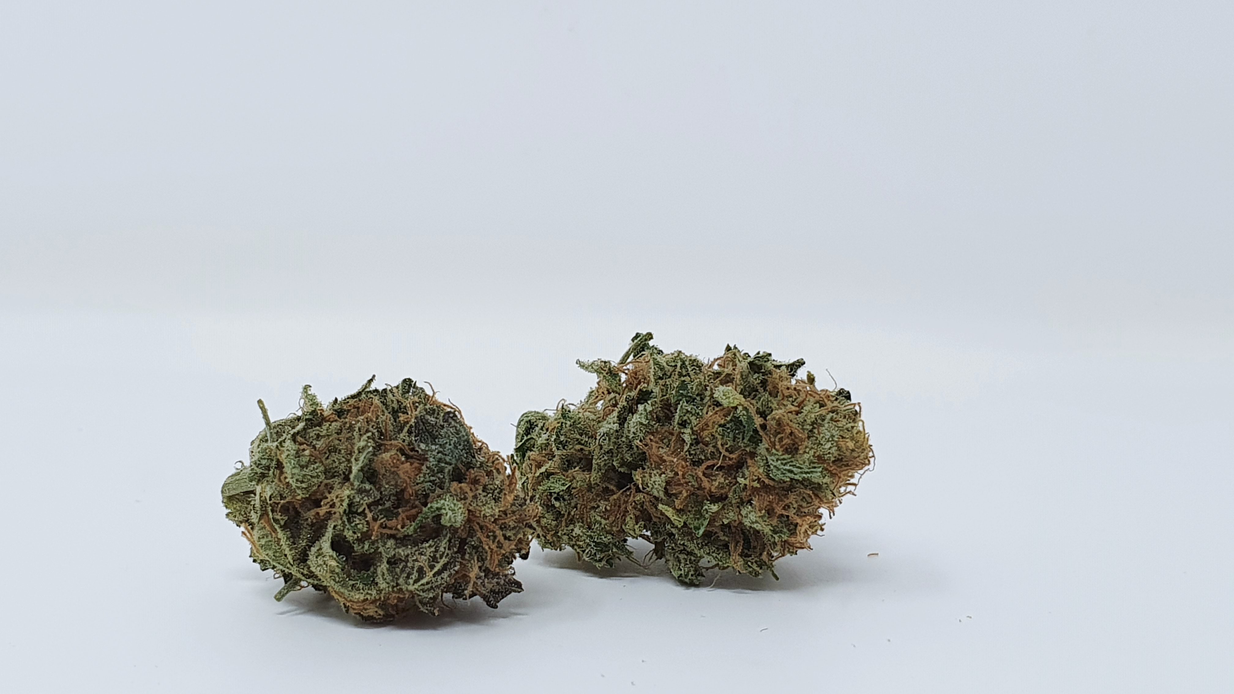 Archive image 7 for Disco Biscuit Cannabis Strain Information and Review
