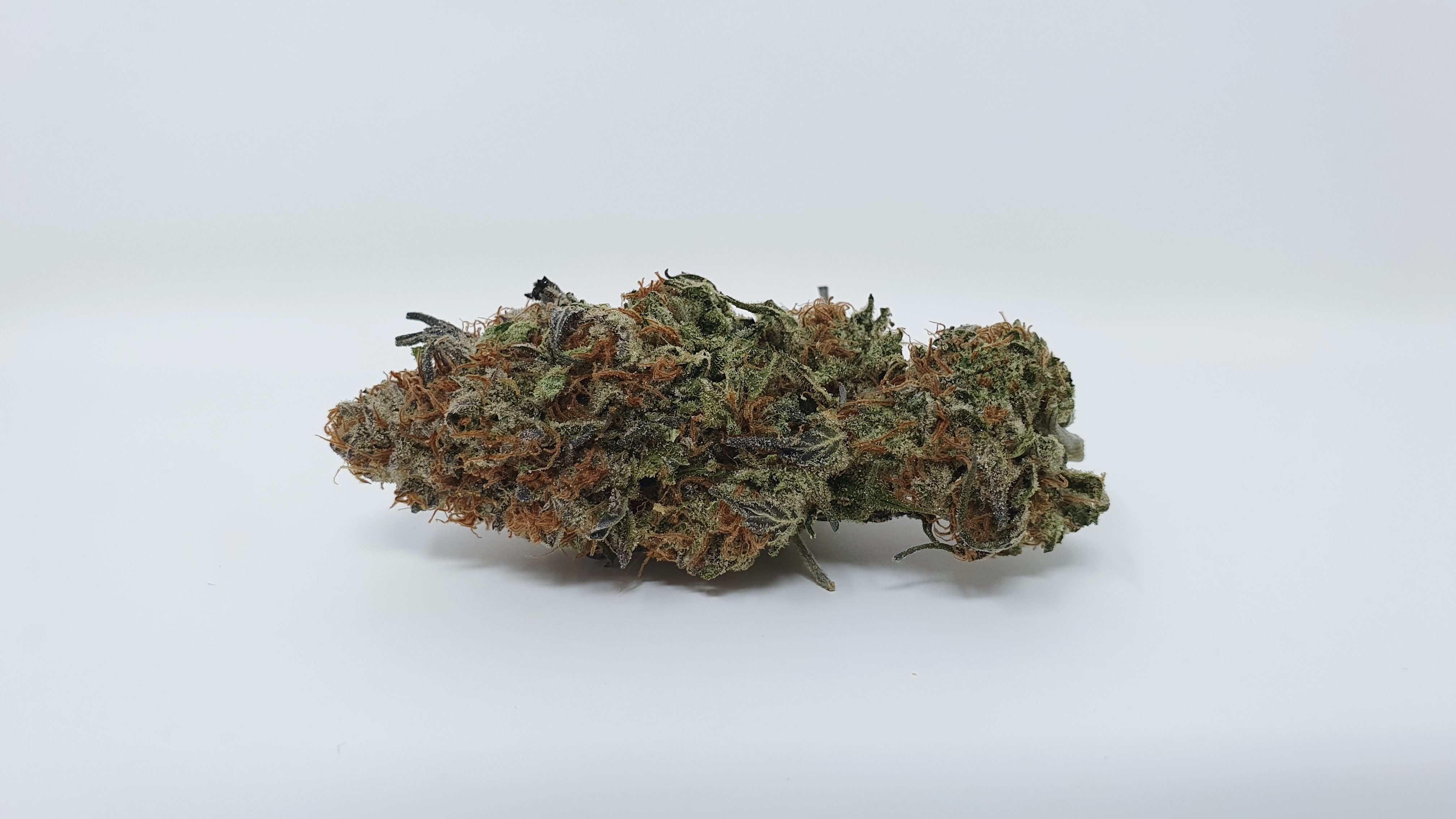 Archive image 8 for Disco Biscuit Cannabis Strain Information and Review