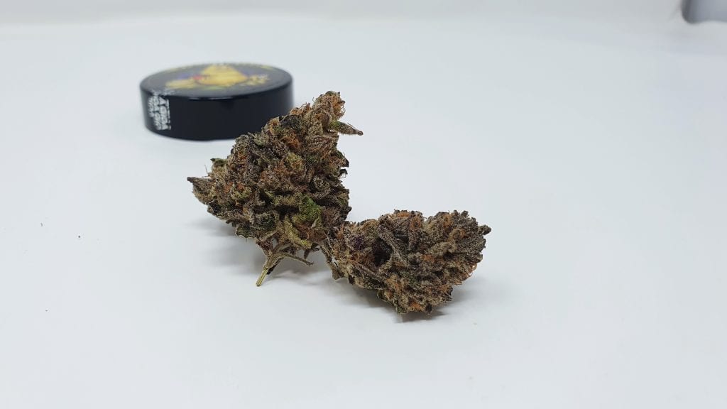 Archive image 2 for Divine Storm Cannabis Strain Review & Information