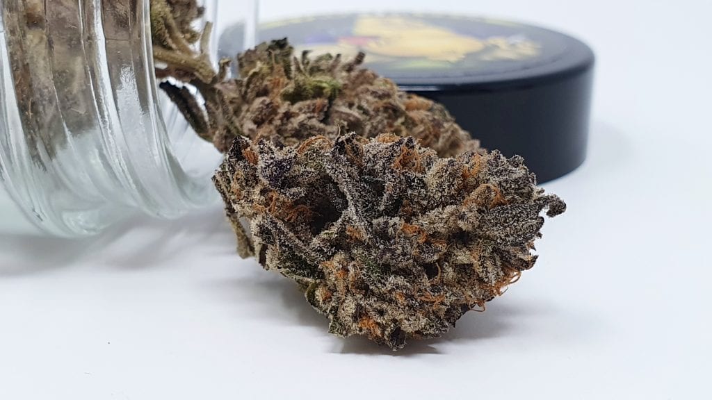 Archive image 3 for Divine Storm Cannabis Strain Review & Information