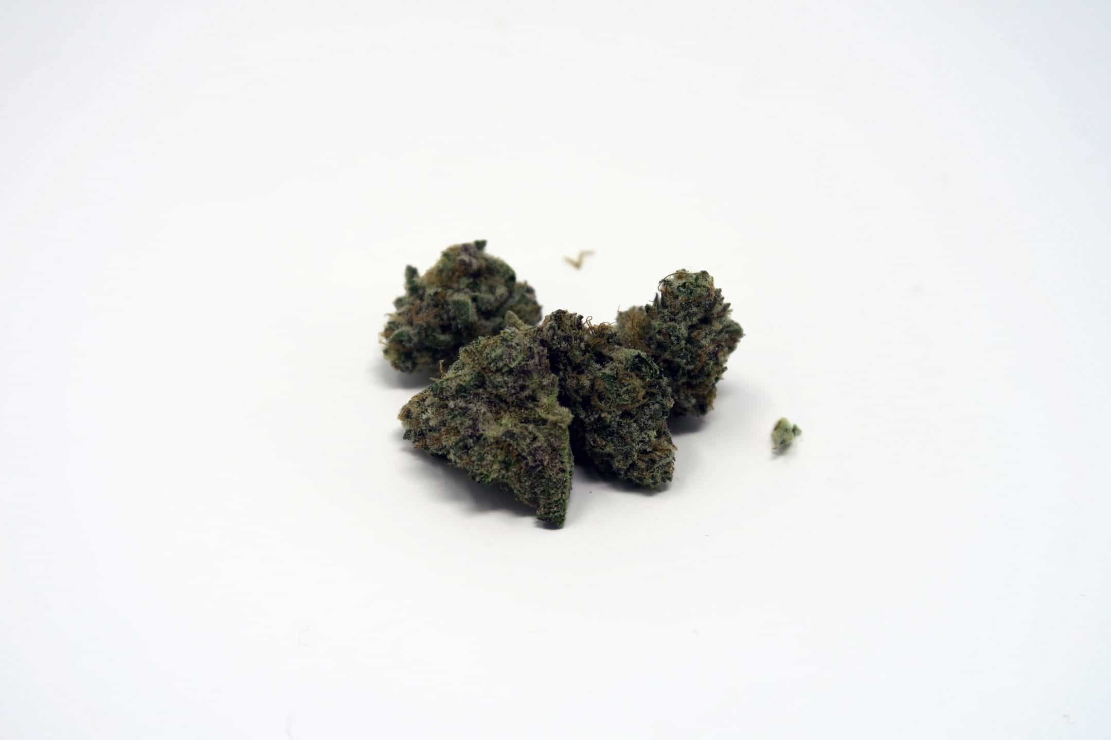 Archive image 2 for Dolato Cannabis Strain Review